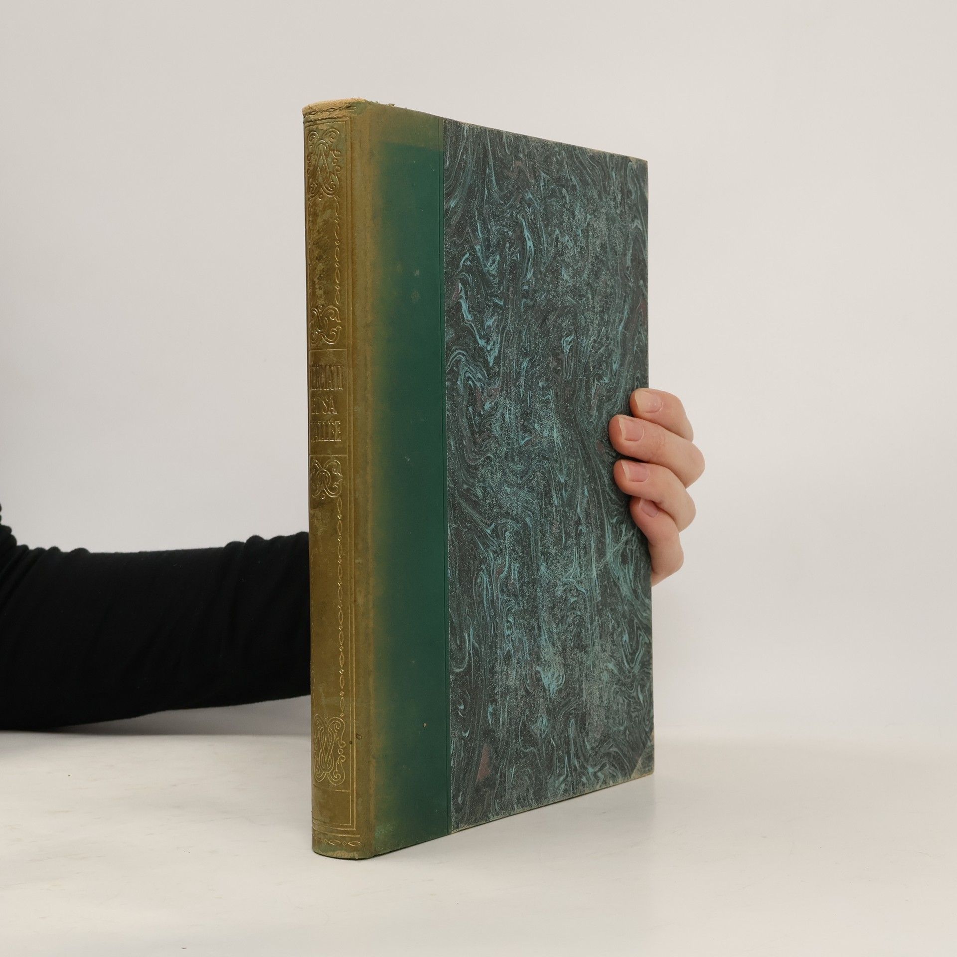 François Gos Zermatt et sa vallée