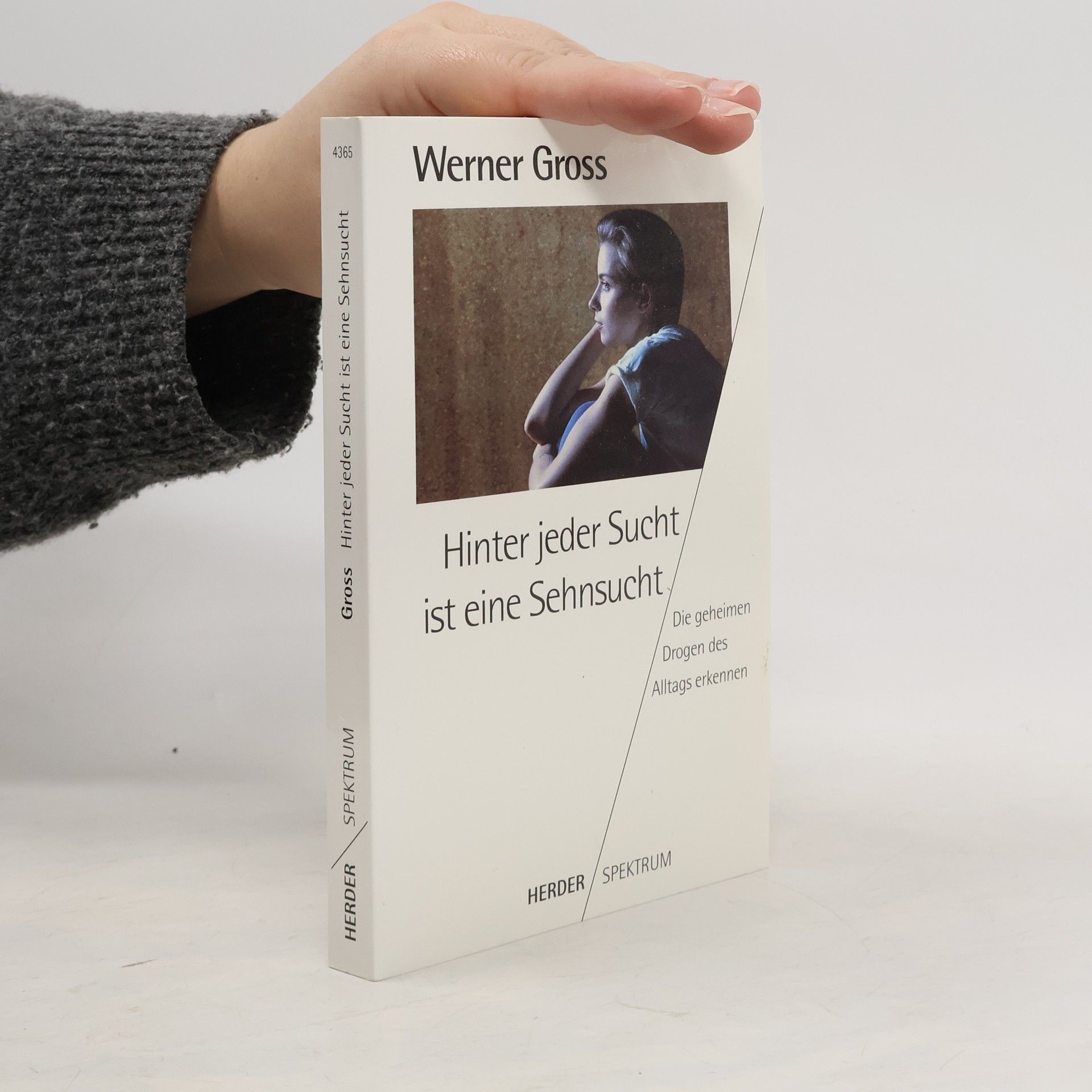 Werner Gross Hinter jeder Sucht ist eine Sehnsucht