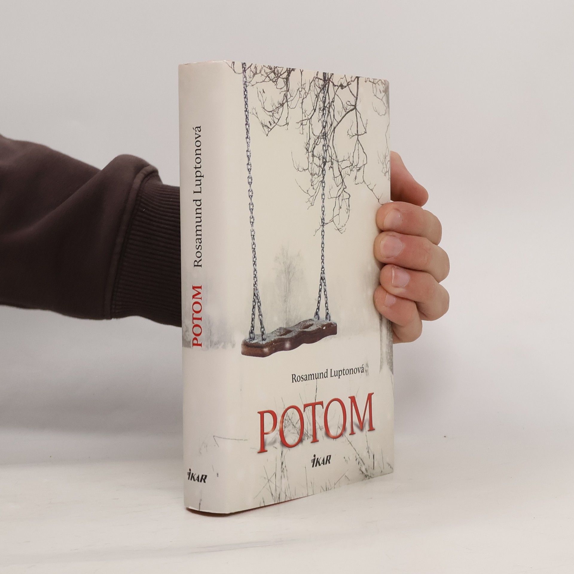 Rosamund Lupton Potom