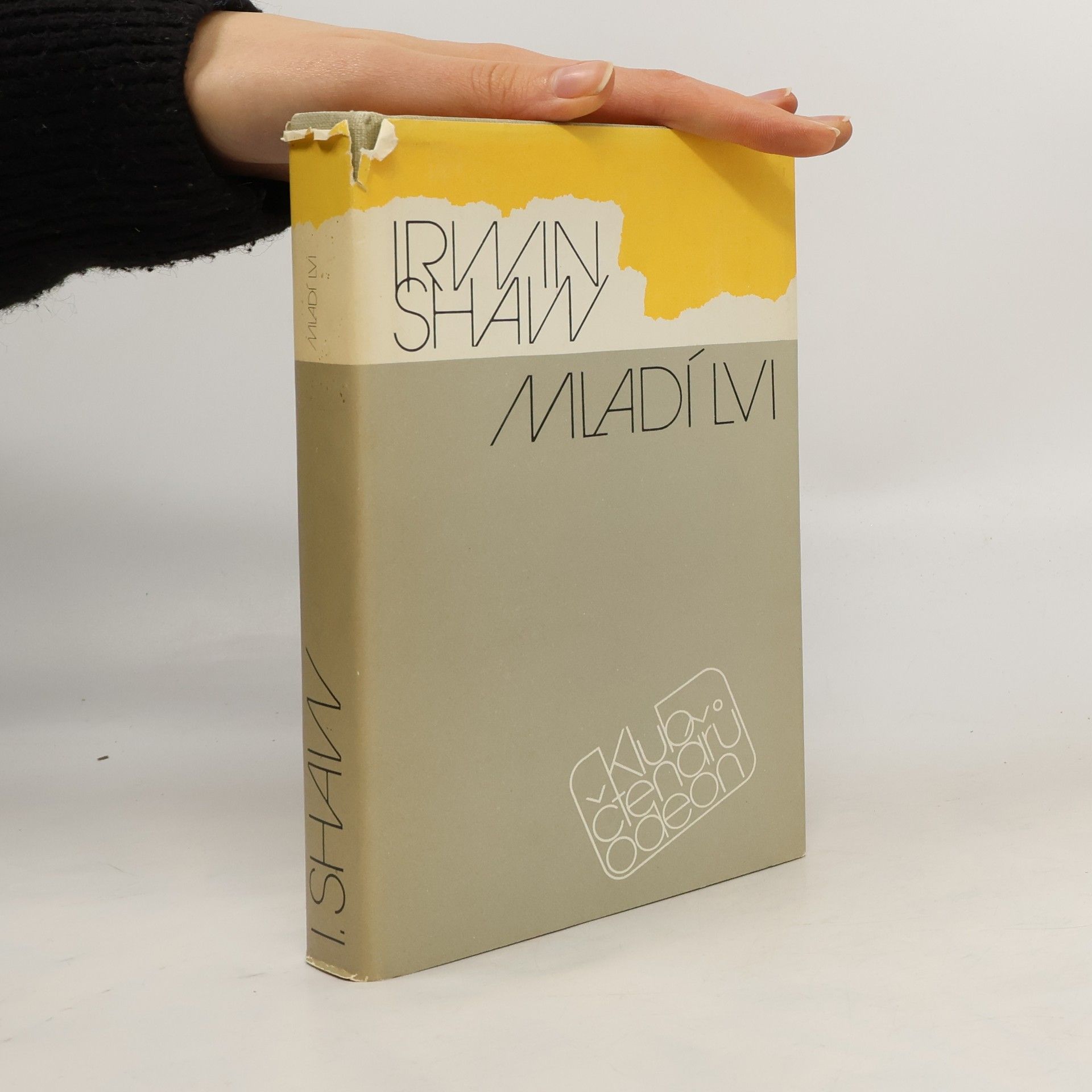 Irwin Shaw Mladí lvi