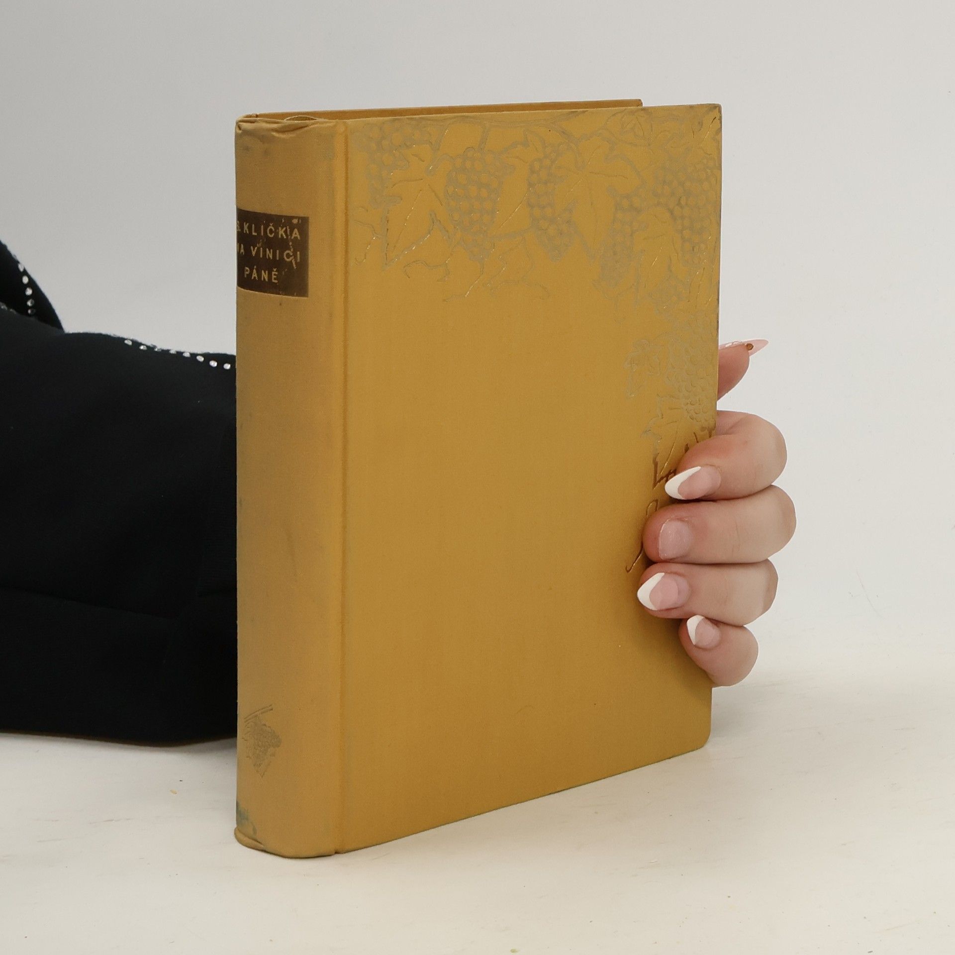 Benjamin Klička Na vinici Páně