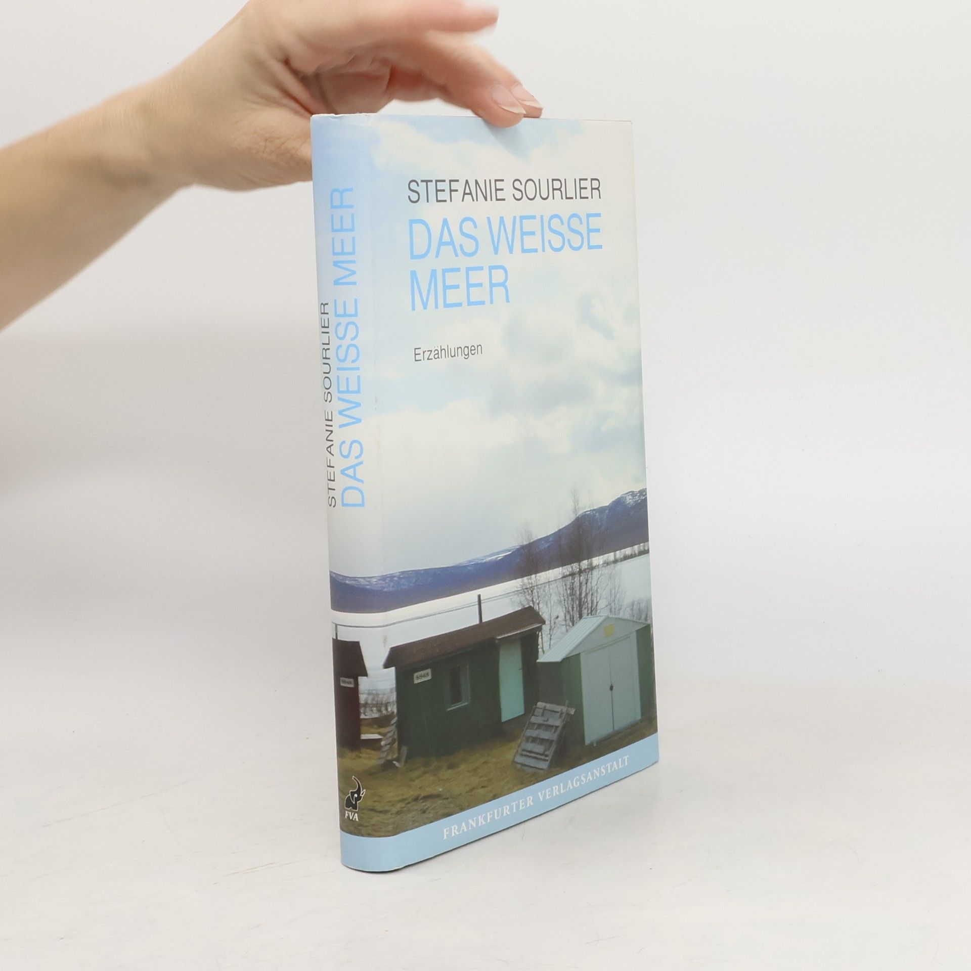 Stefanie Sourlier Das weiße Meer