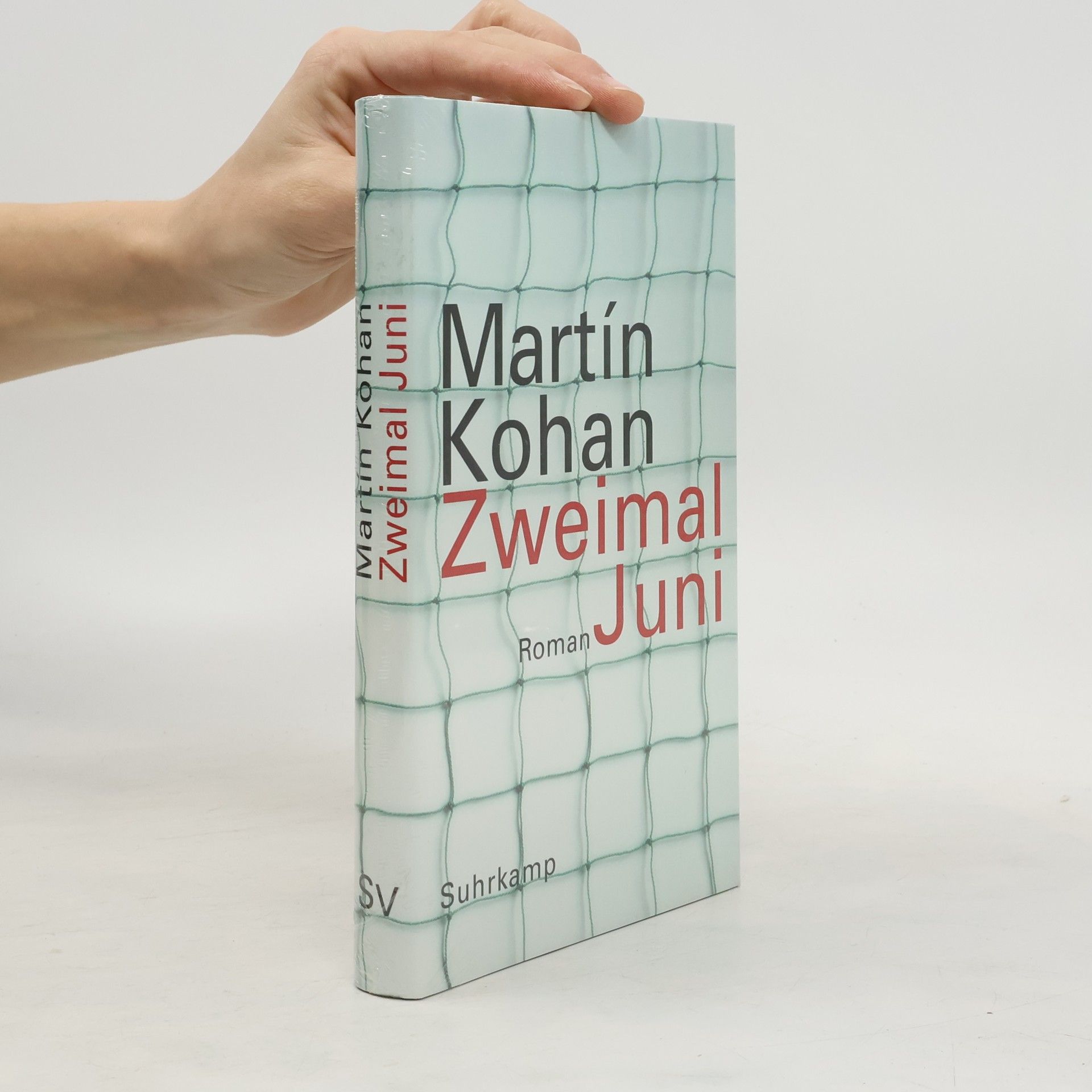 Martín Kohan Zweimal Juni