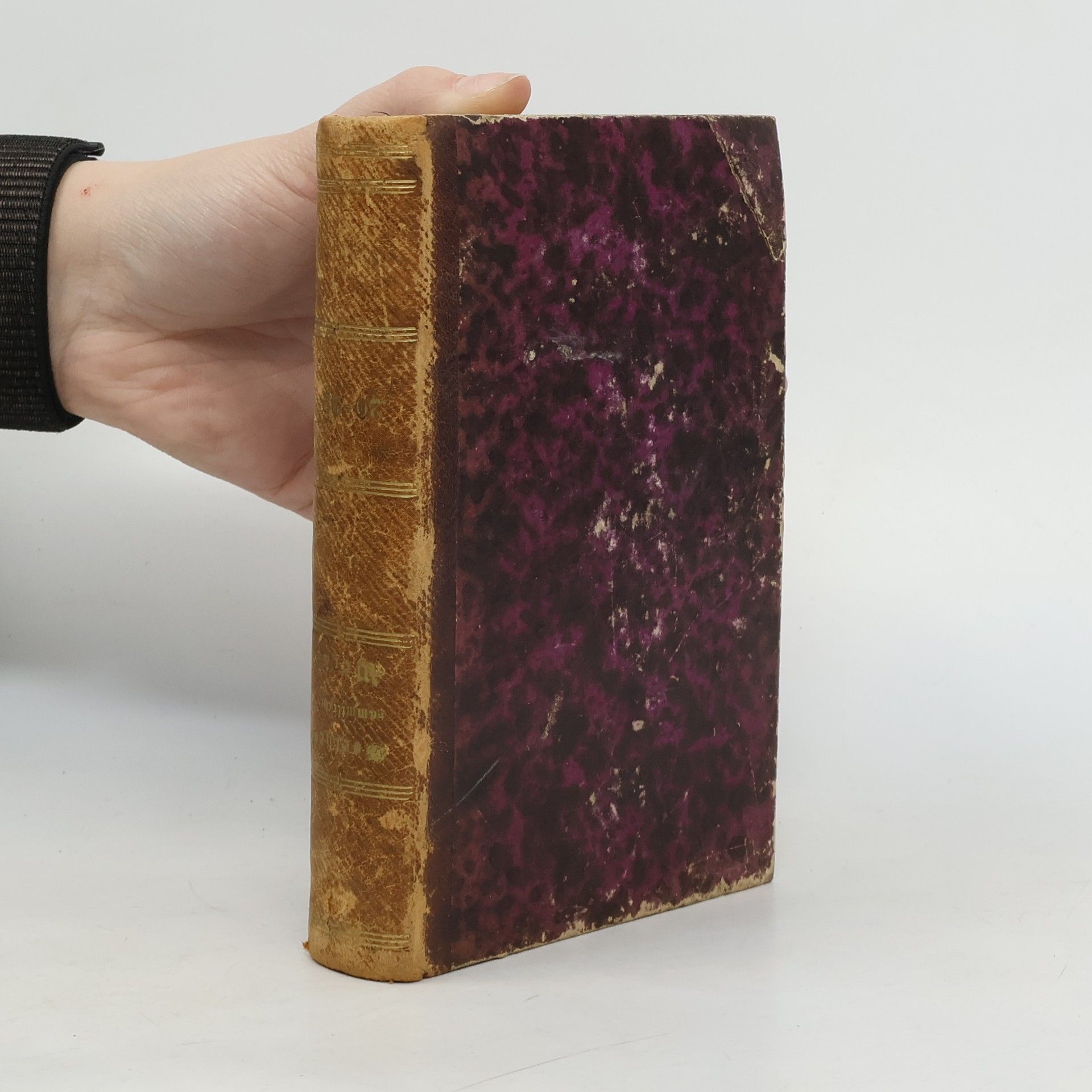 Johann Wolfgang von Goethe Sämtliche Werke 20