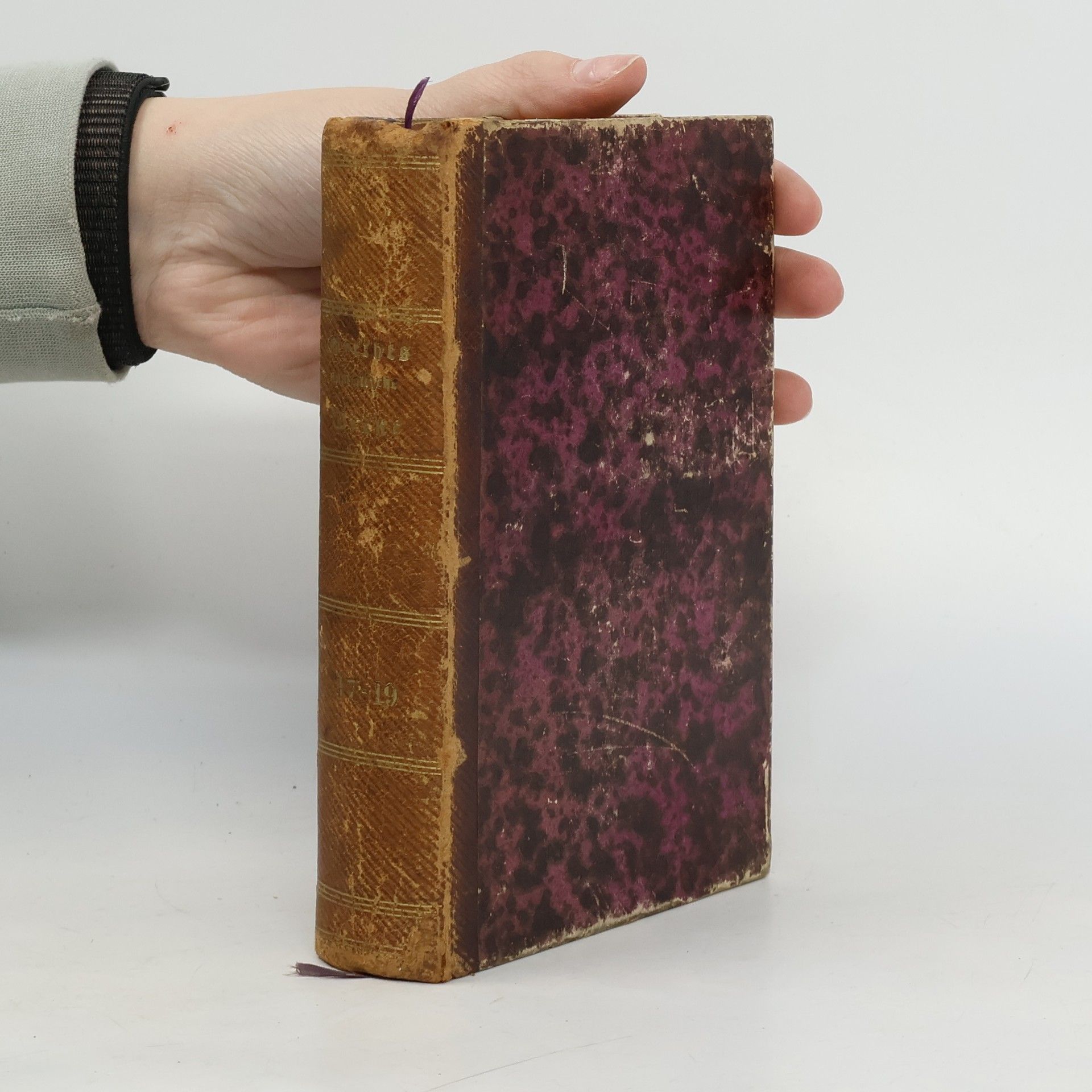 Johann Wolfgang von Goethe Goethe's Sammtliche Werke 17