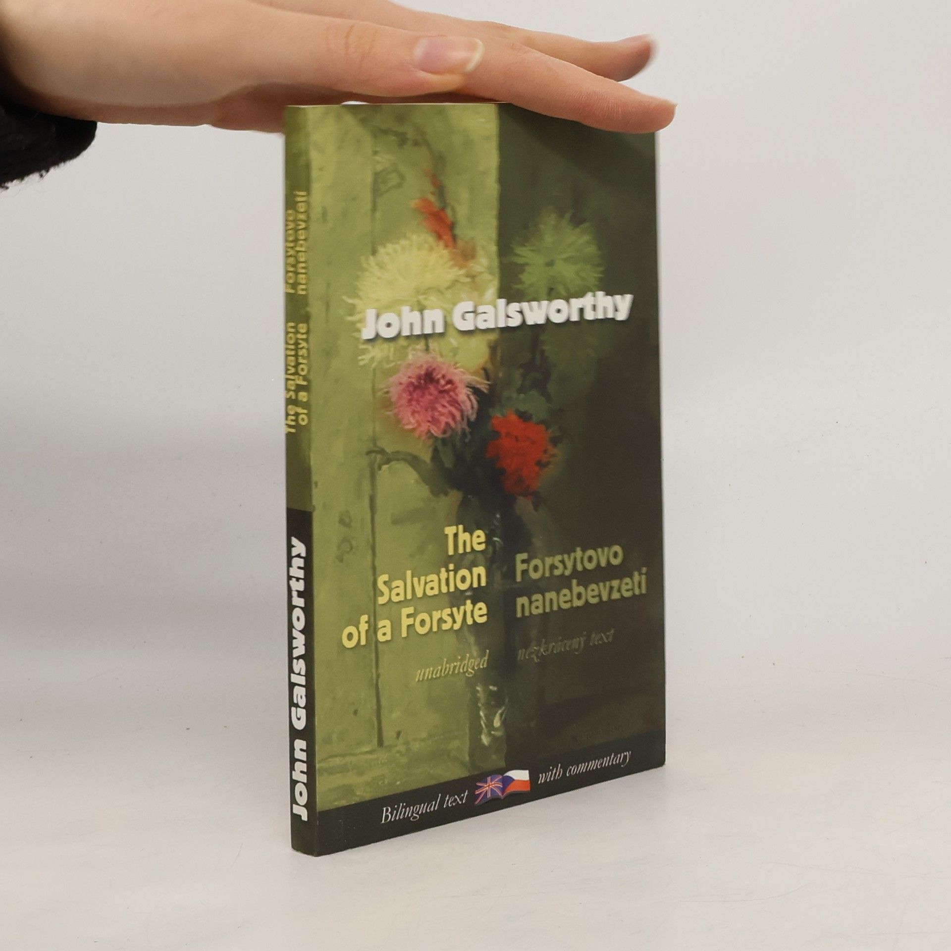 John Galsworthy Forsytovo nanebevzetí / Salvation of a Forsyte