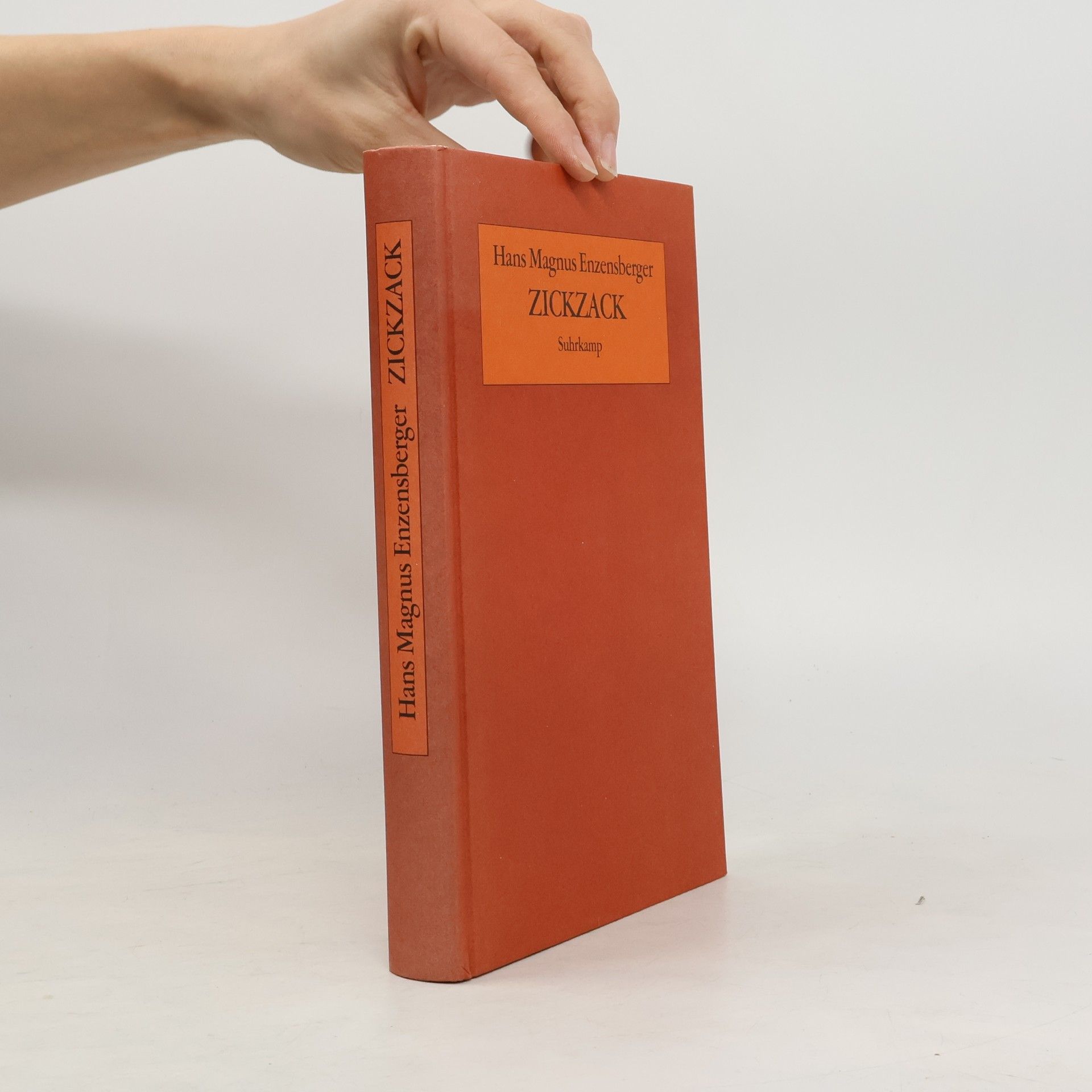 Hans Magnus Enzensberger Zickzack