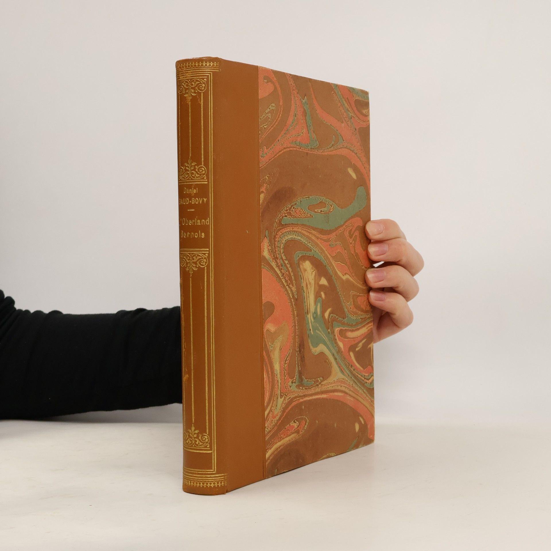 Daniel Baud-Bovy L'Oberland Bernois