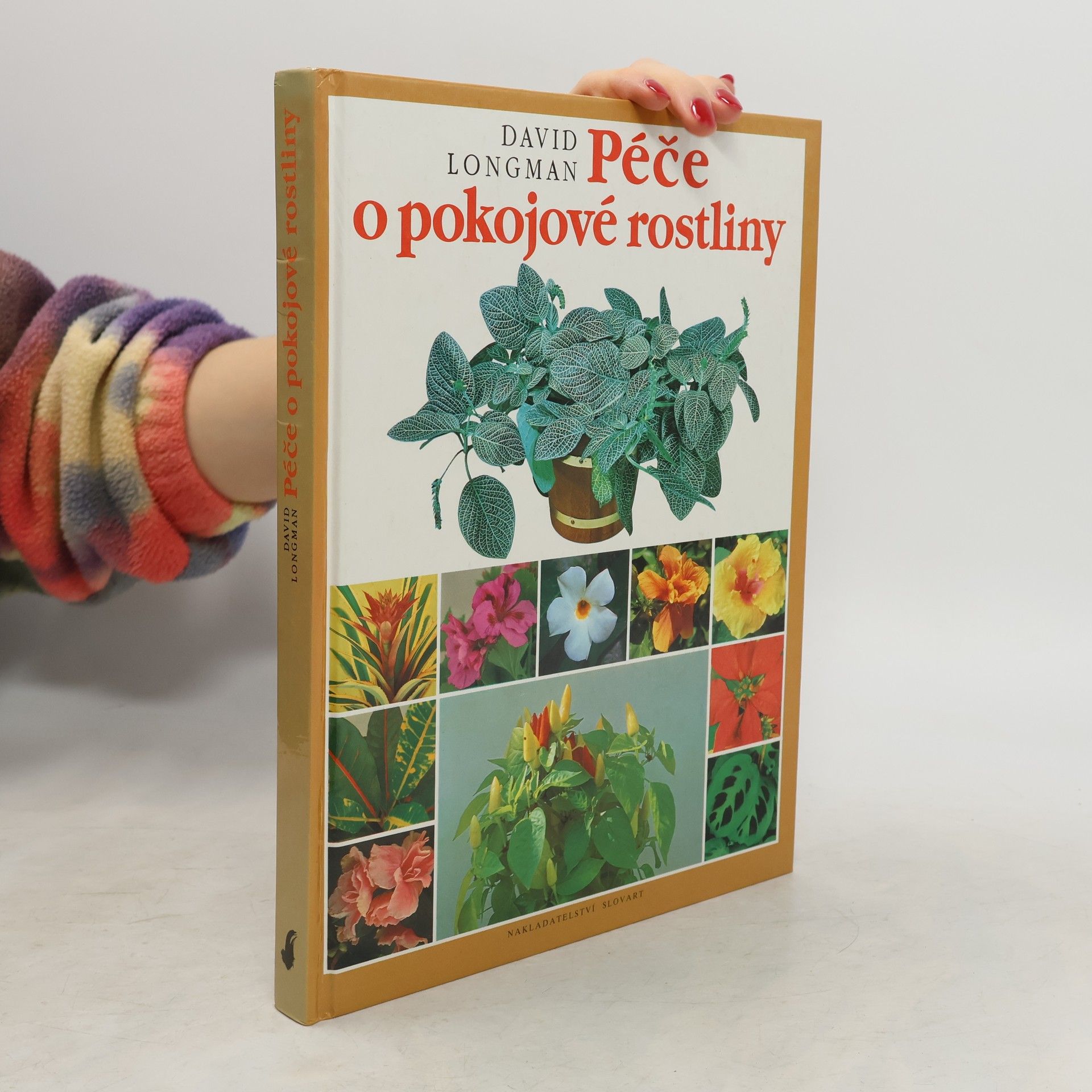 Péče o pokojové rostliny