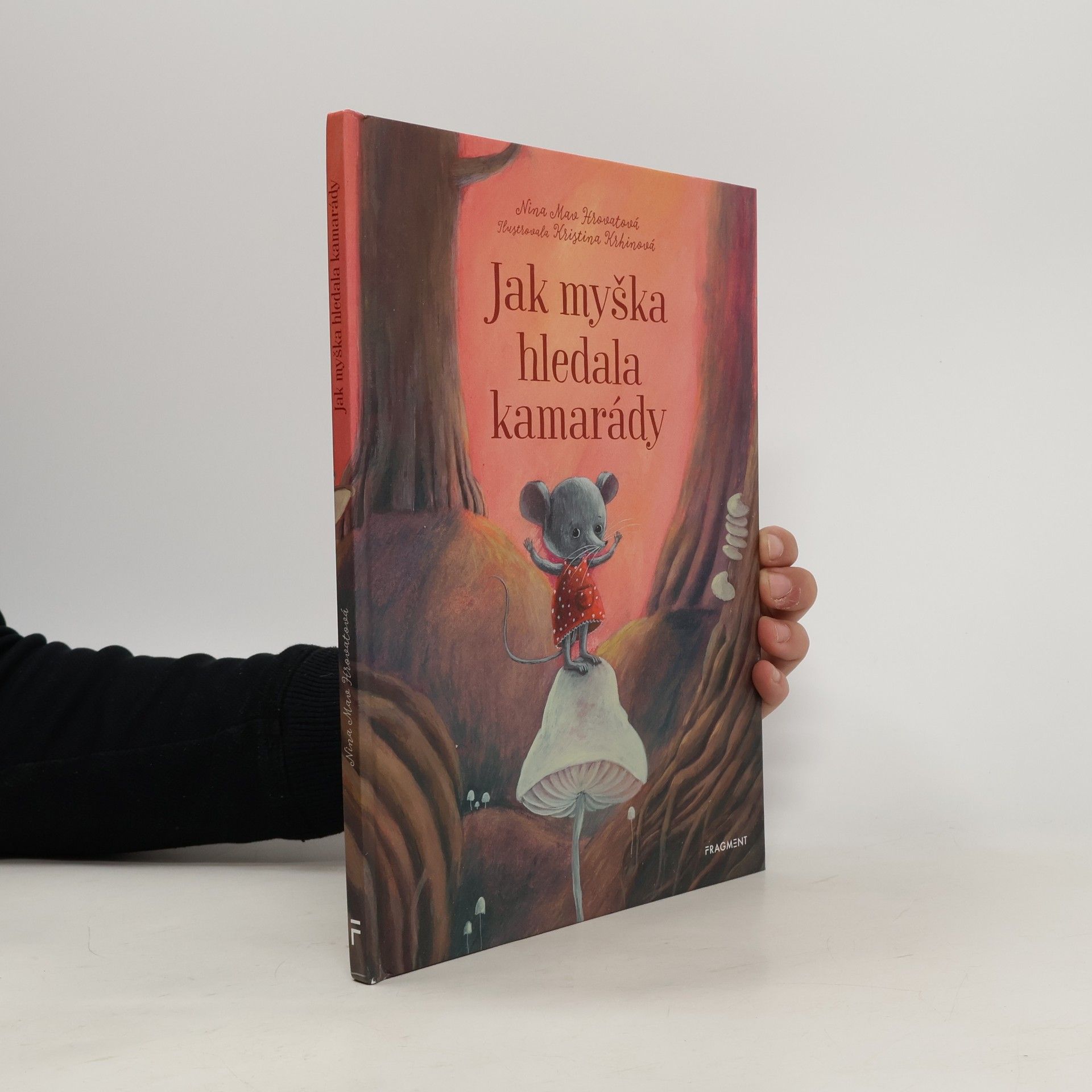 Nina Mav Hrovat Jak myška hledala kamarády