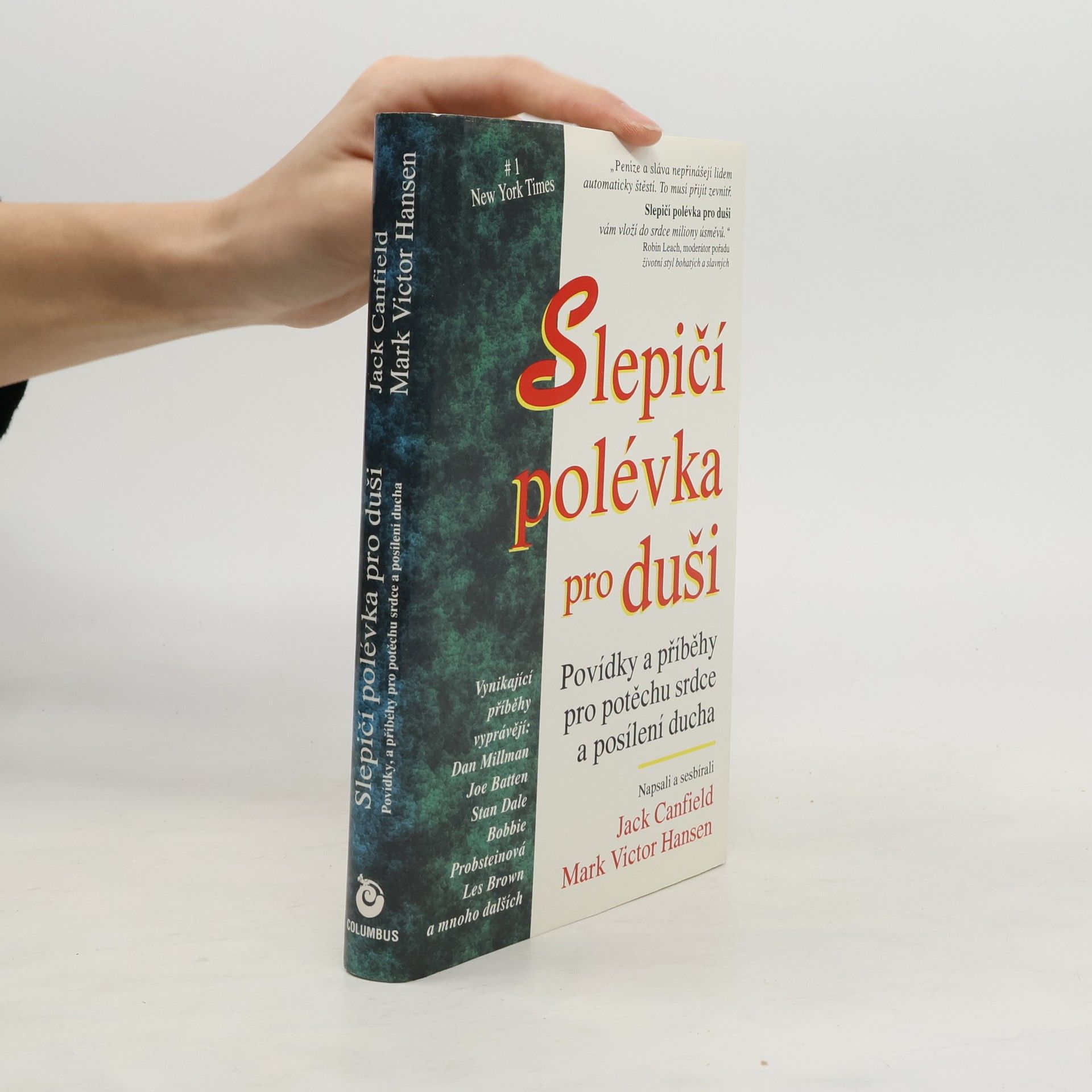 Autorenkollektiv Slepičí polévka pro duši. Povídky a příběhy pro potěchu srdce a posílení ducha