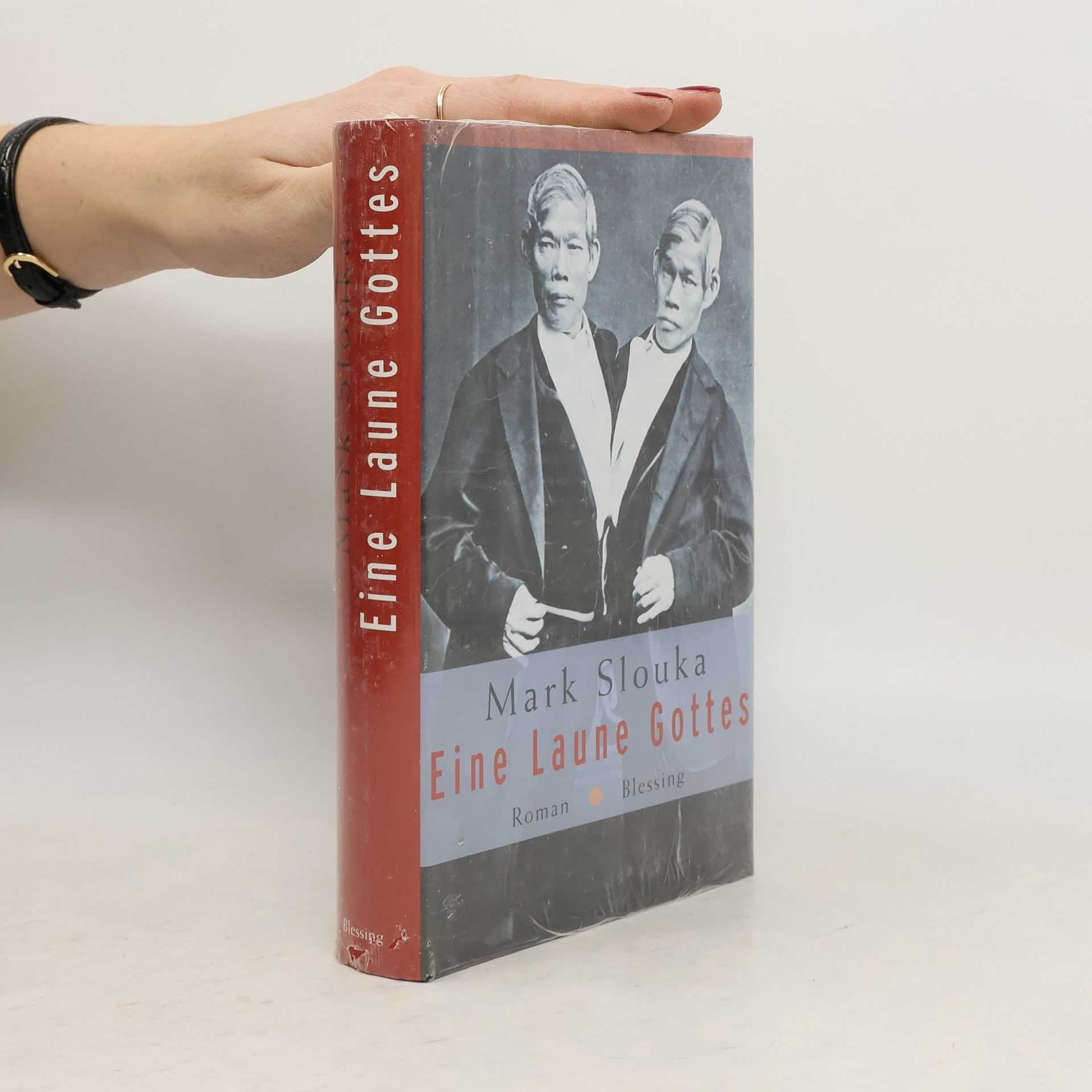 Mark Slouka Eine Laune Gottes