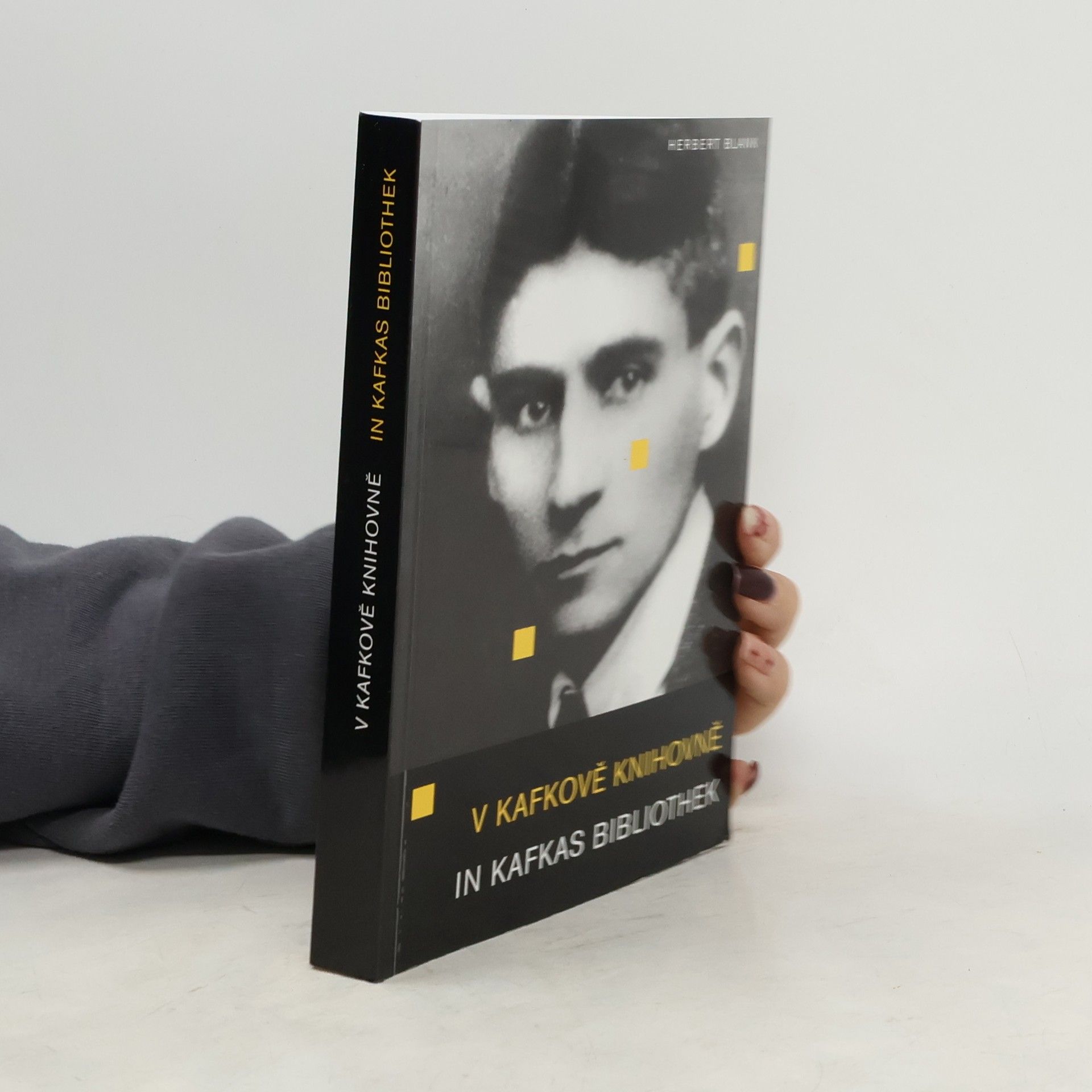 V Kafkově knihovně. In Kafkas Bibliothek