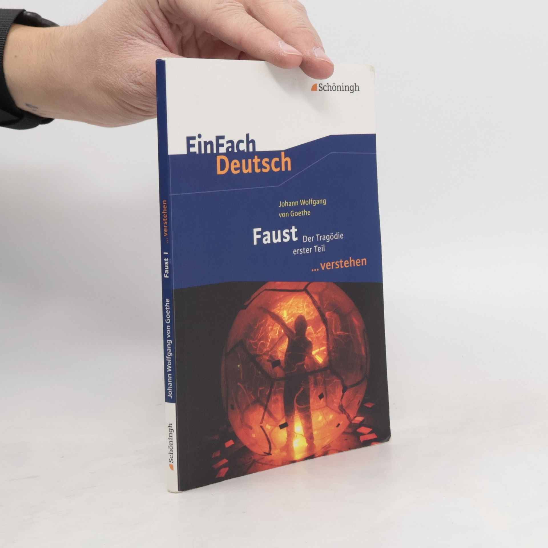 Johann Wolfgang von Goethe EinFach Deutsch. Faust I.