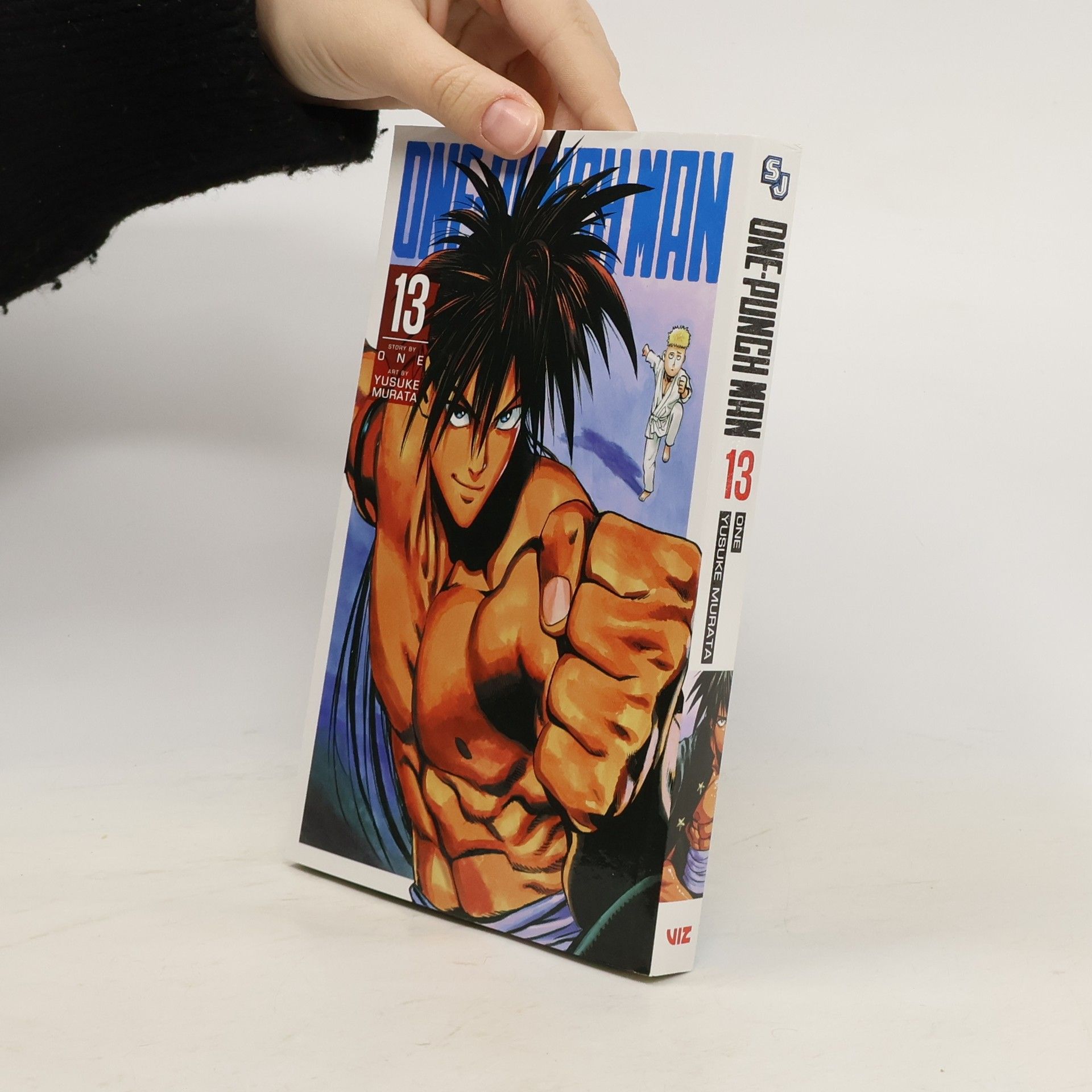 One One-Punch Man, Vol. 13
