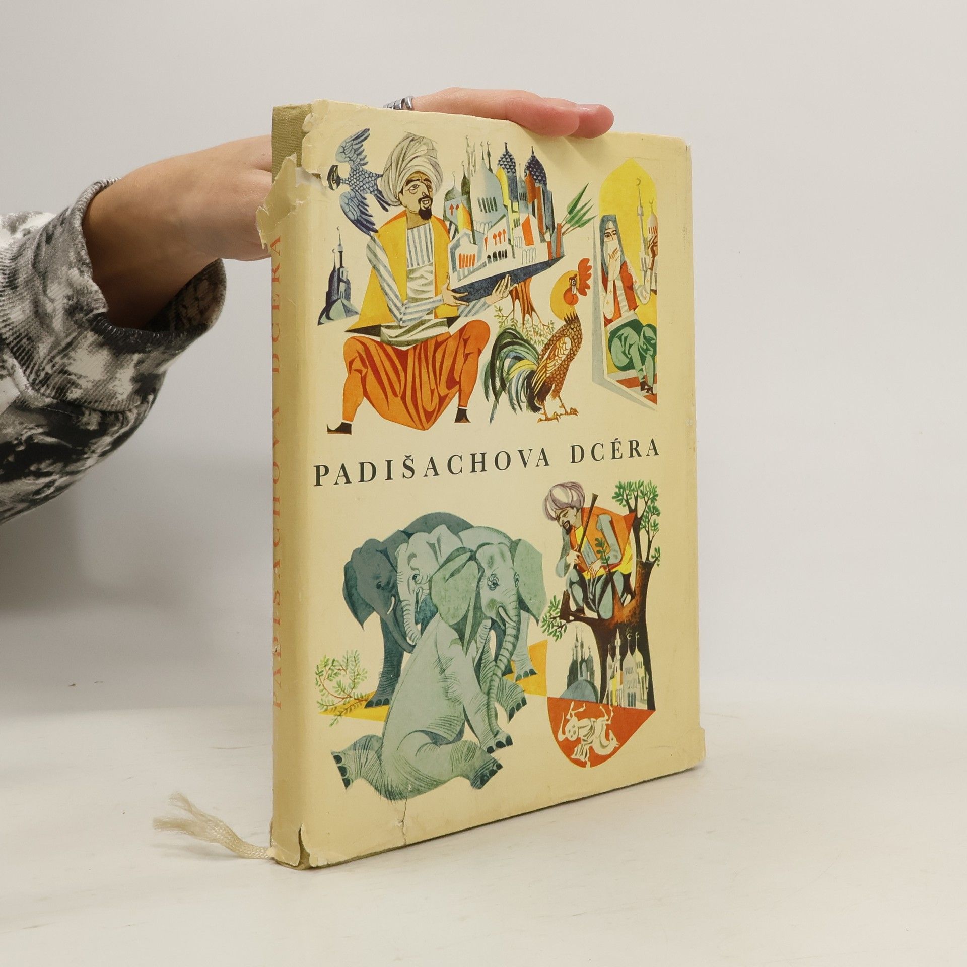 Autorenkollektiv Padišachova dcéra