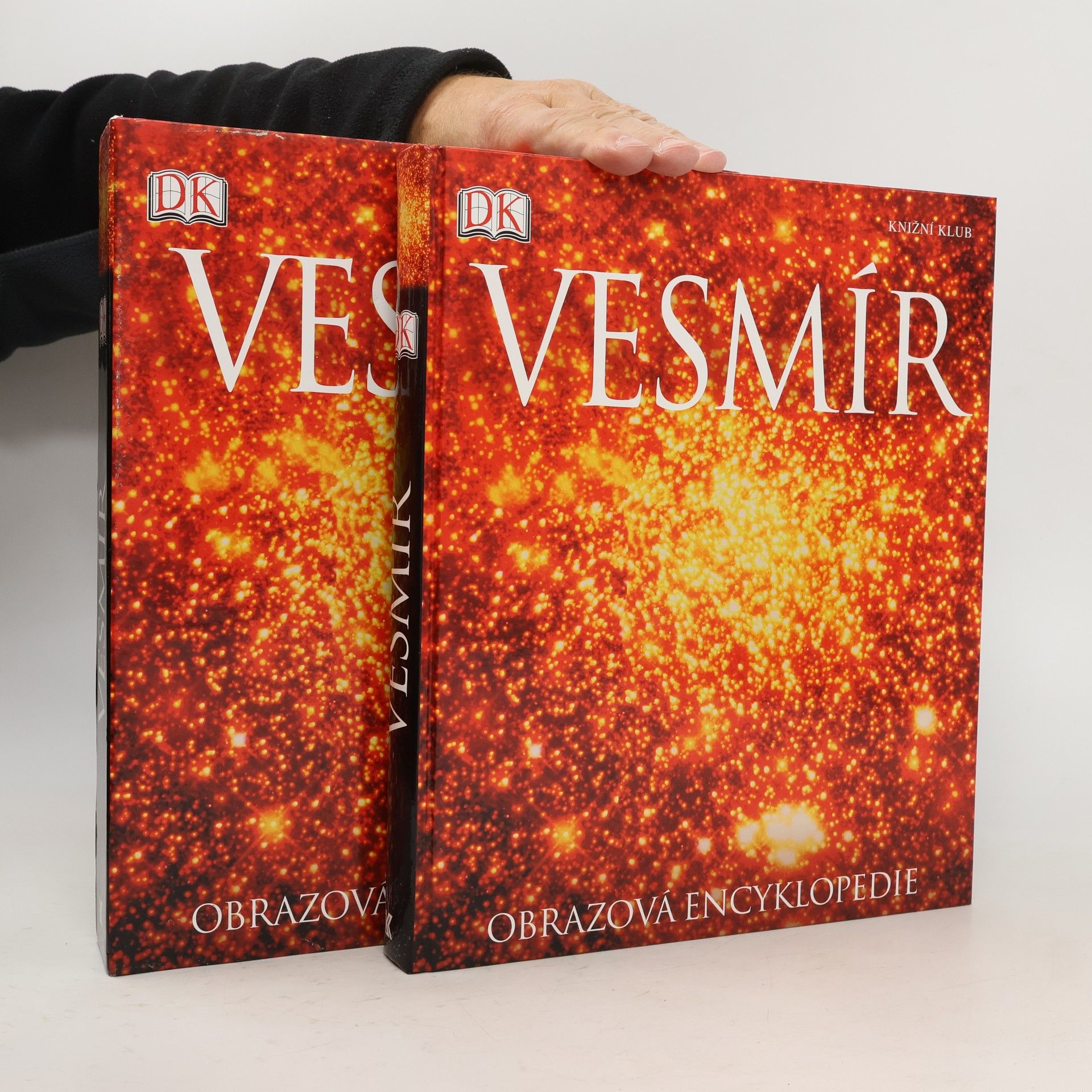 Martin Rees Vesmír