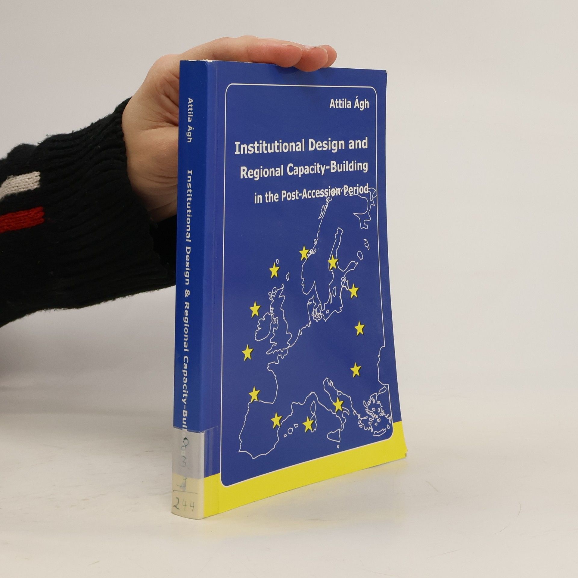 Institutional Design and Regional Capacity-Building