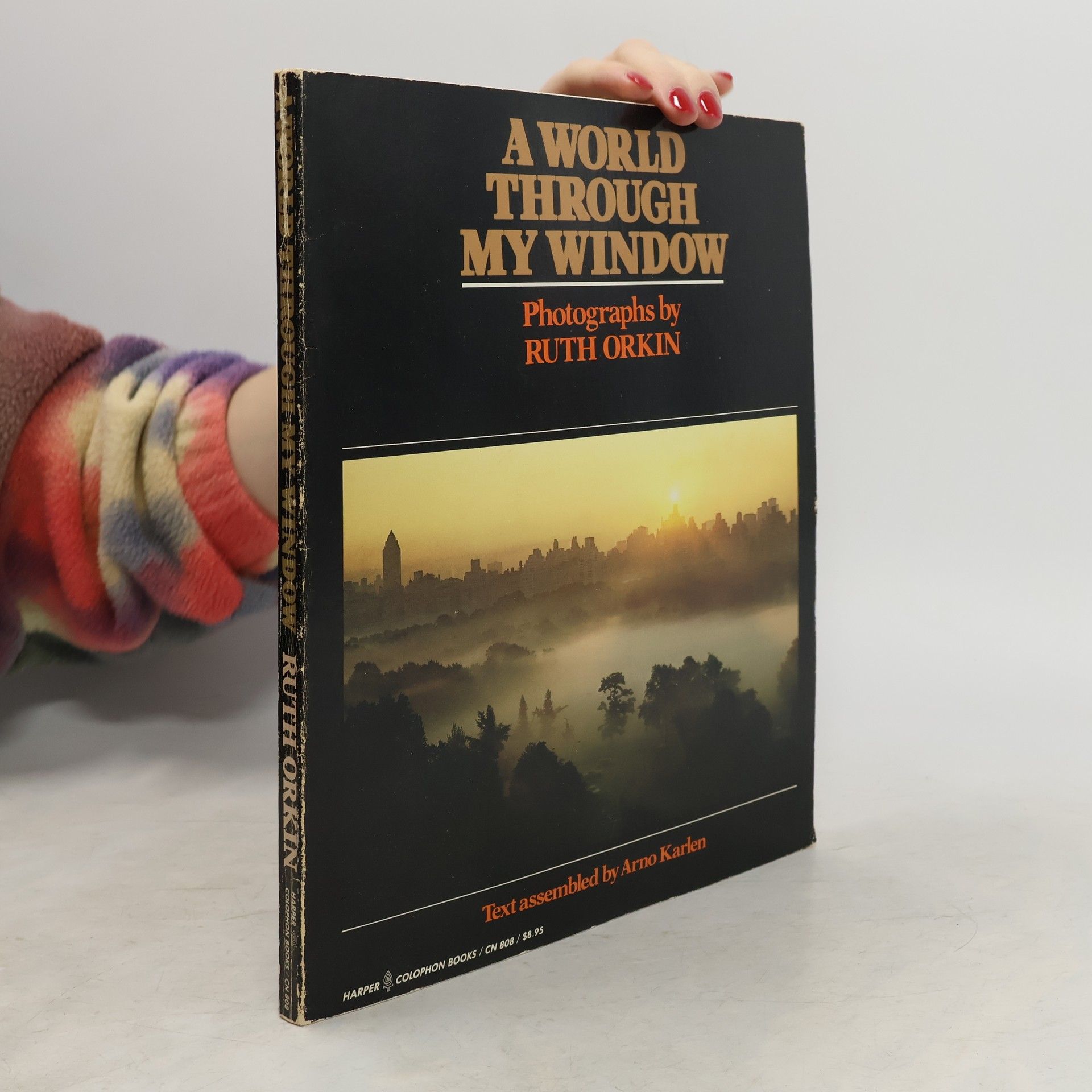 Ruth Orkin A World Through My Window