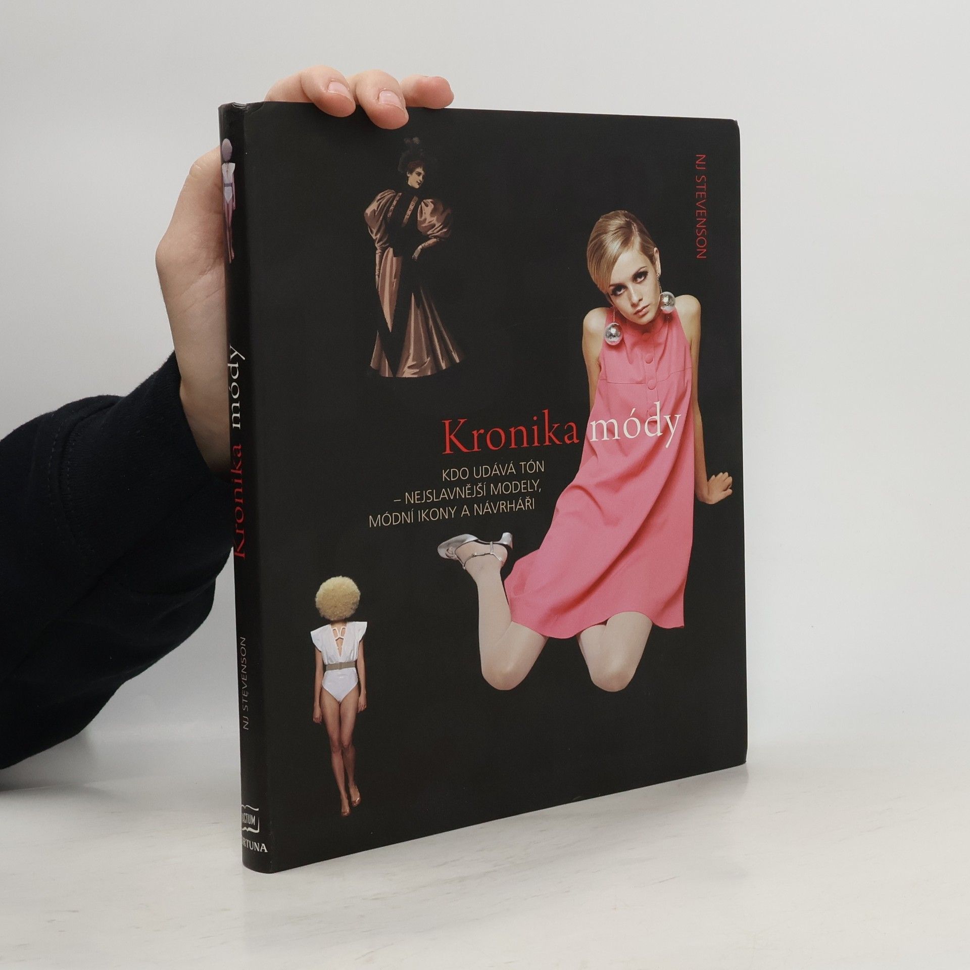 N. J. Stevenson Kronika módy. Kdo udává tón - nejslavnější módní ikony a návrháři