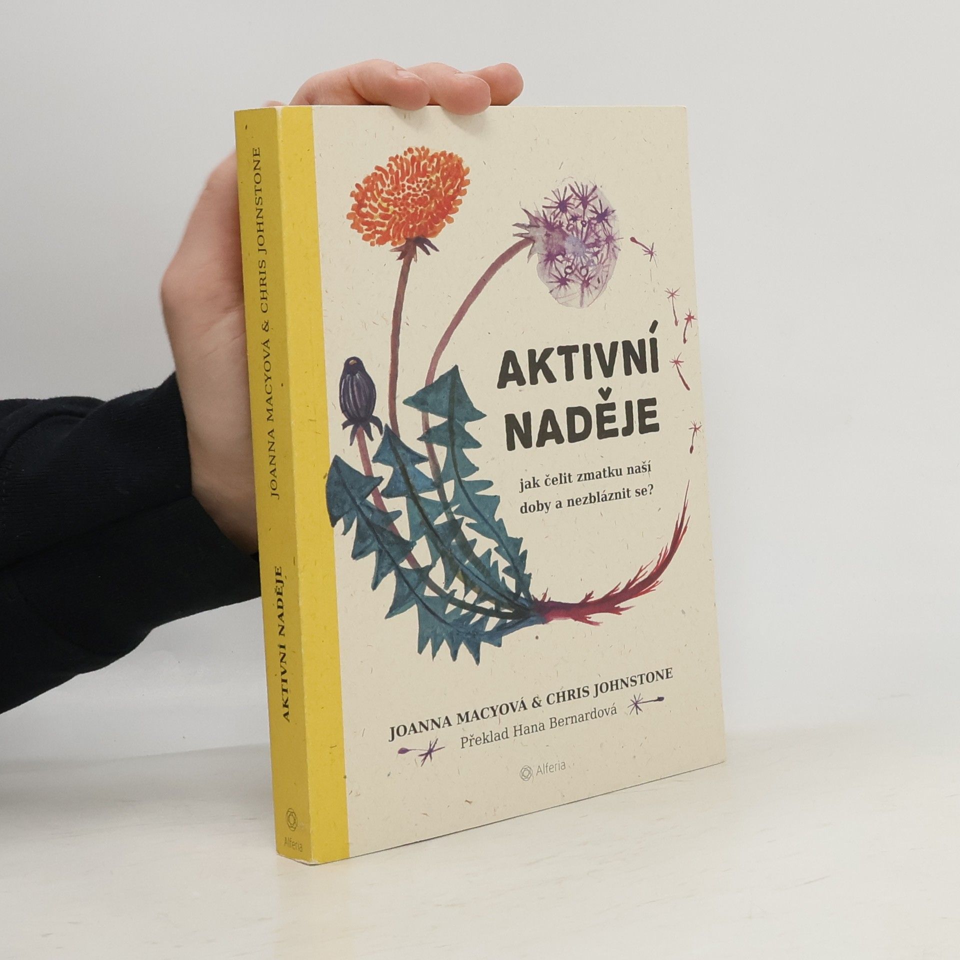 Joanna Macy Aktivní naděje