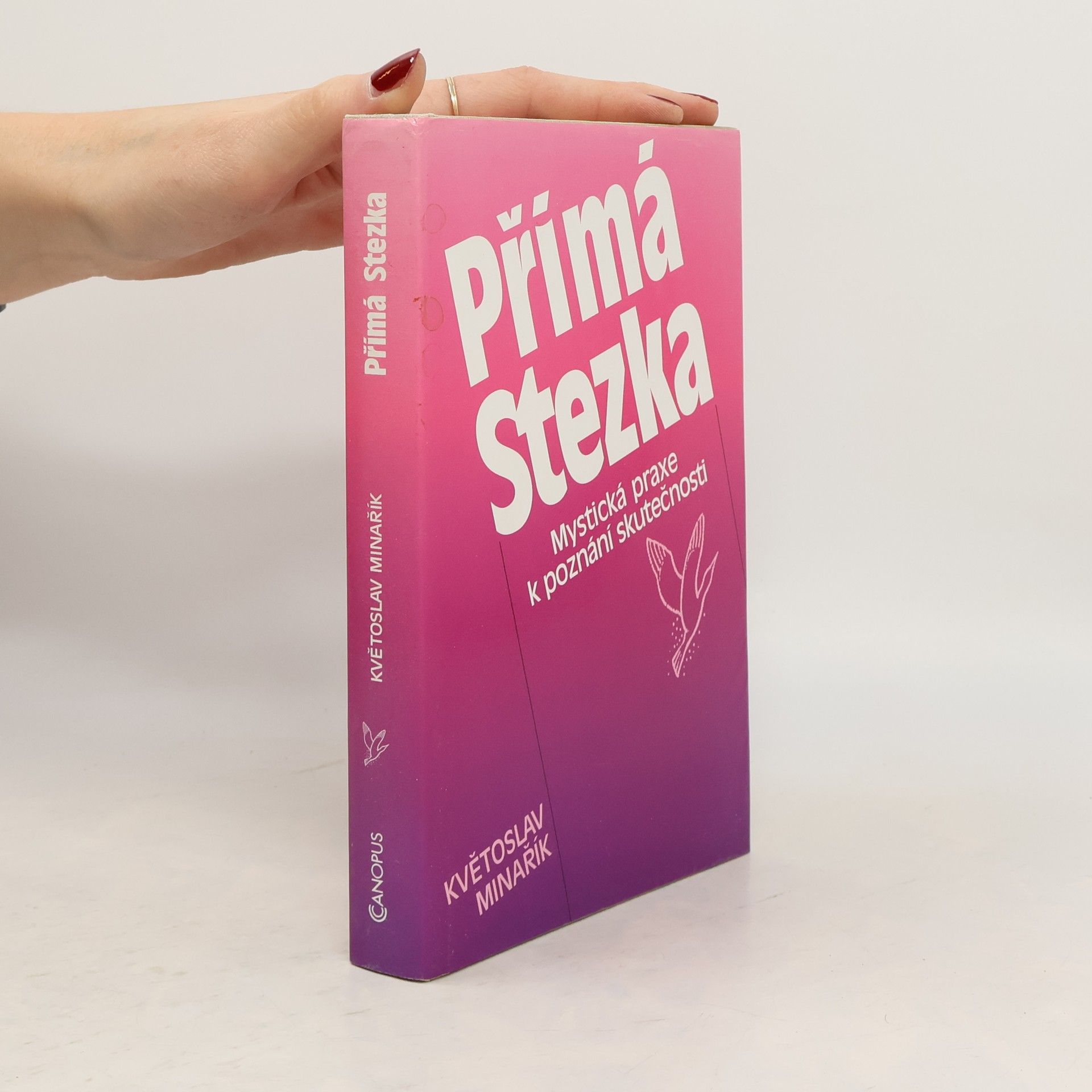 Květoslav Minařík Přímá stezka