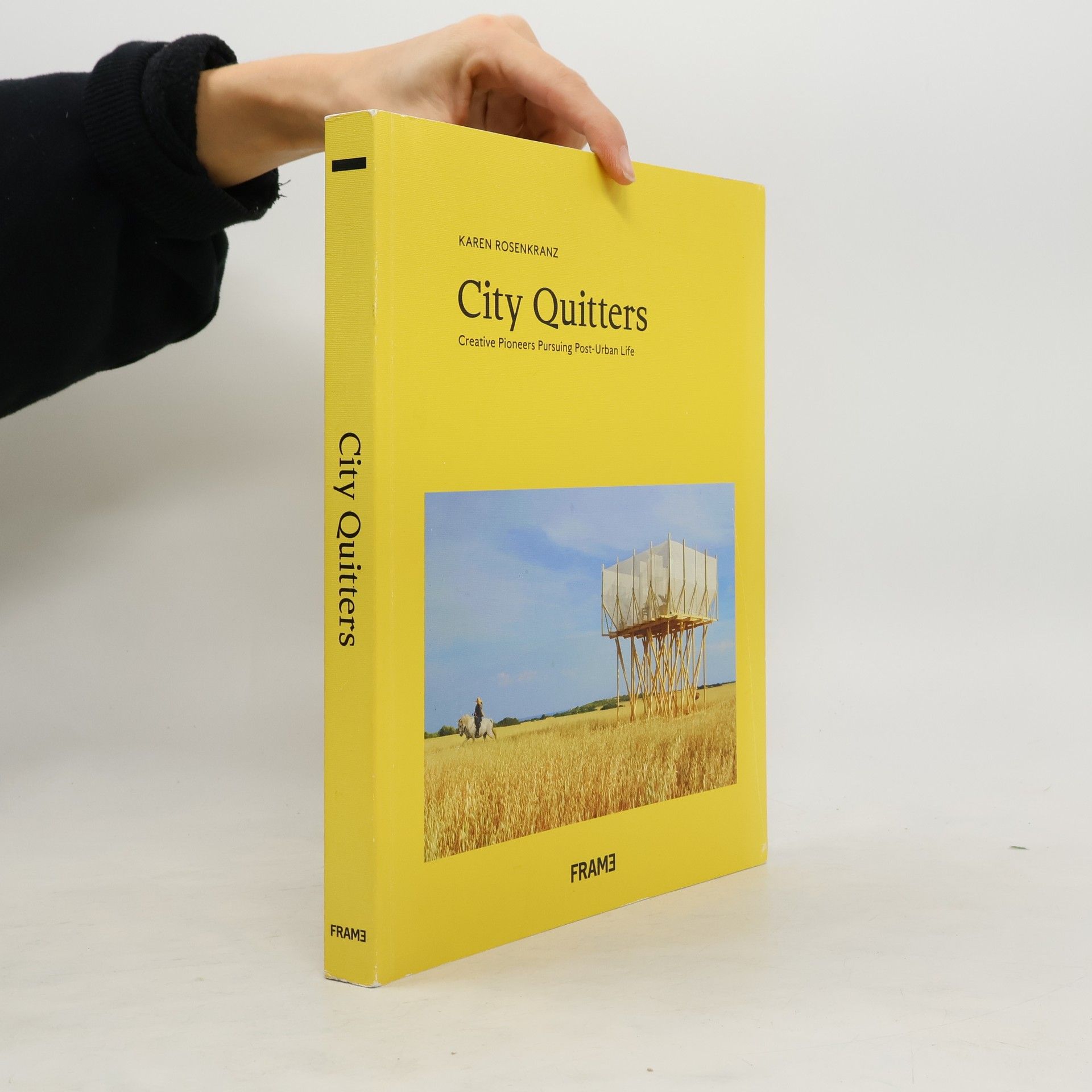 Karen Rosenkranz City Quitters