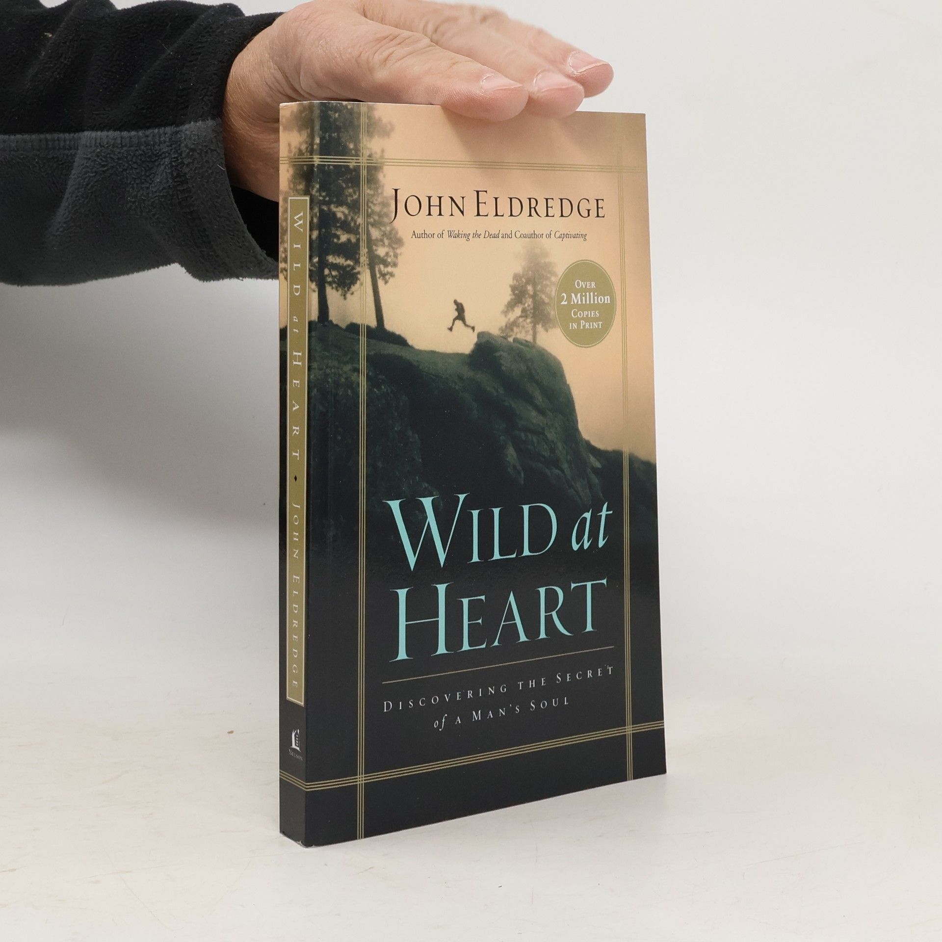 John Eldredge Wild at Heart
