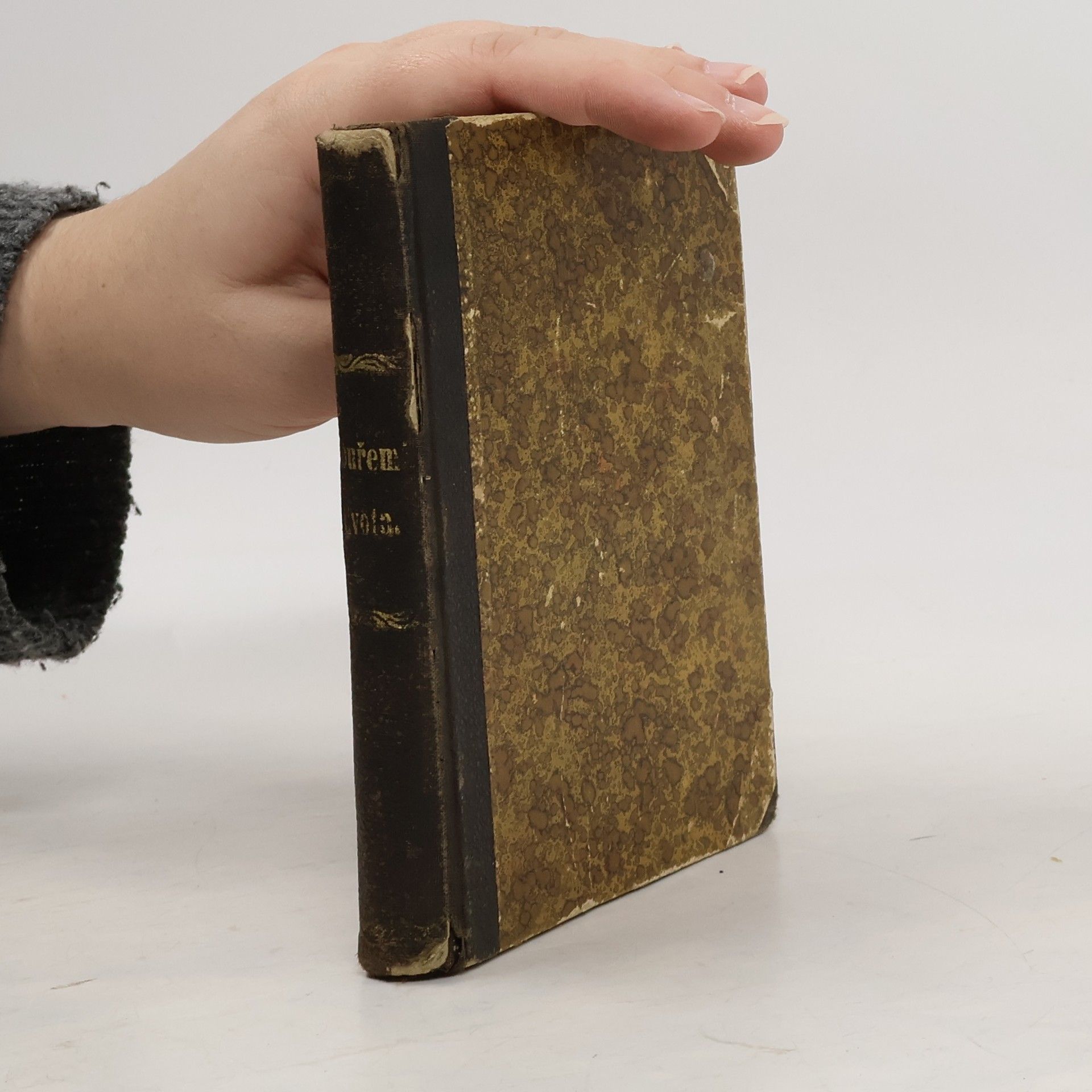 Sylvanus Cobb Bouřemi života