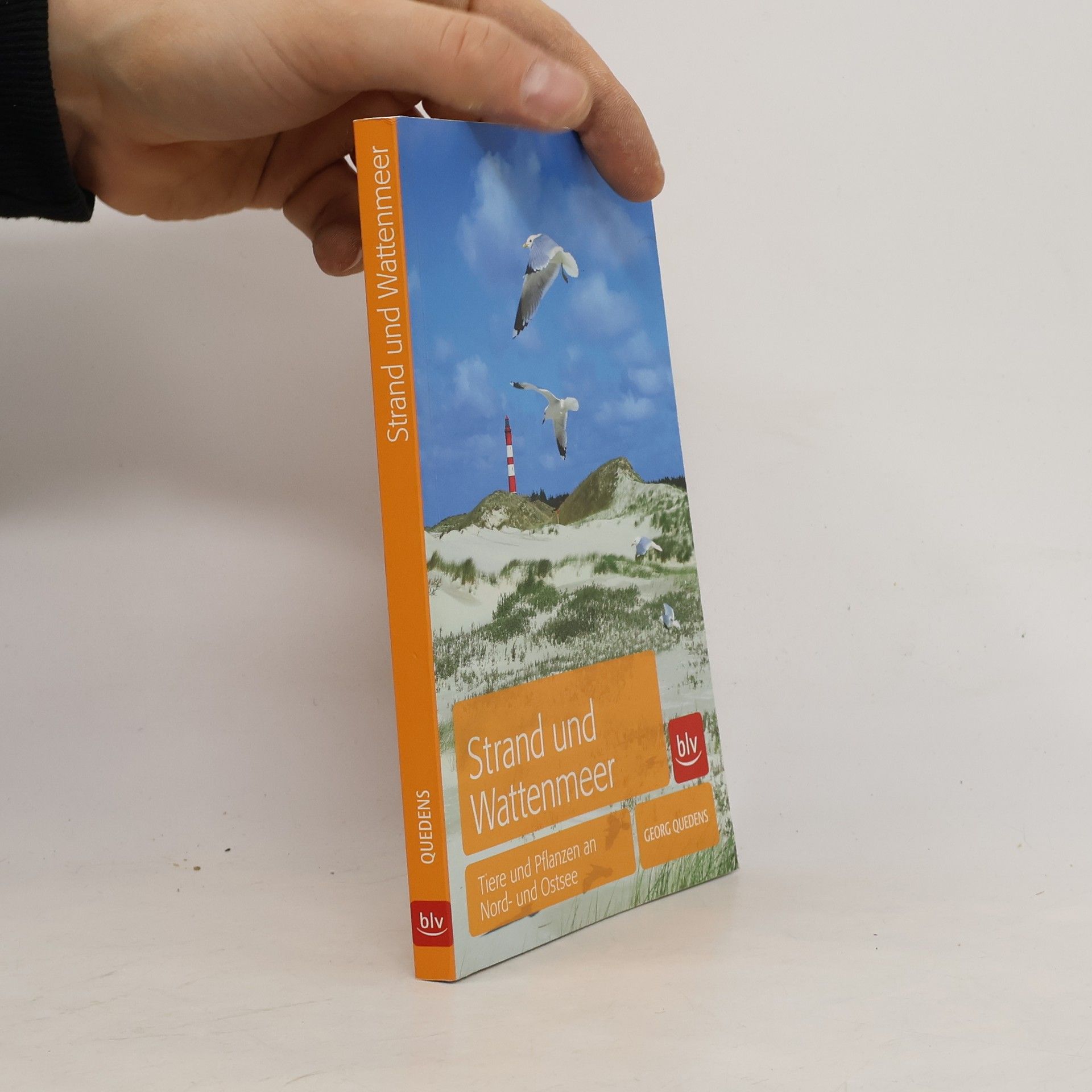 Georg Quedens Strand und Wattenmeer