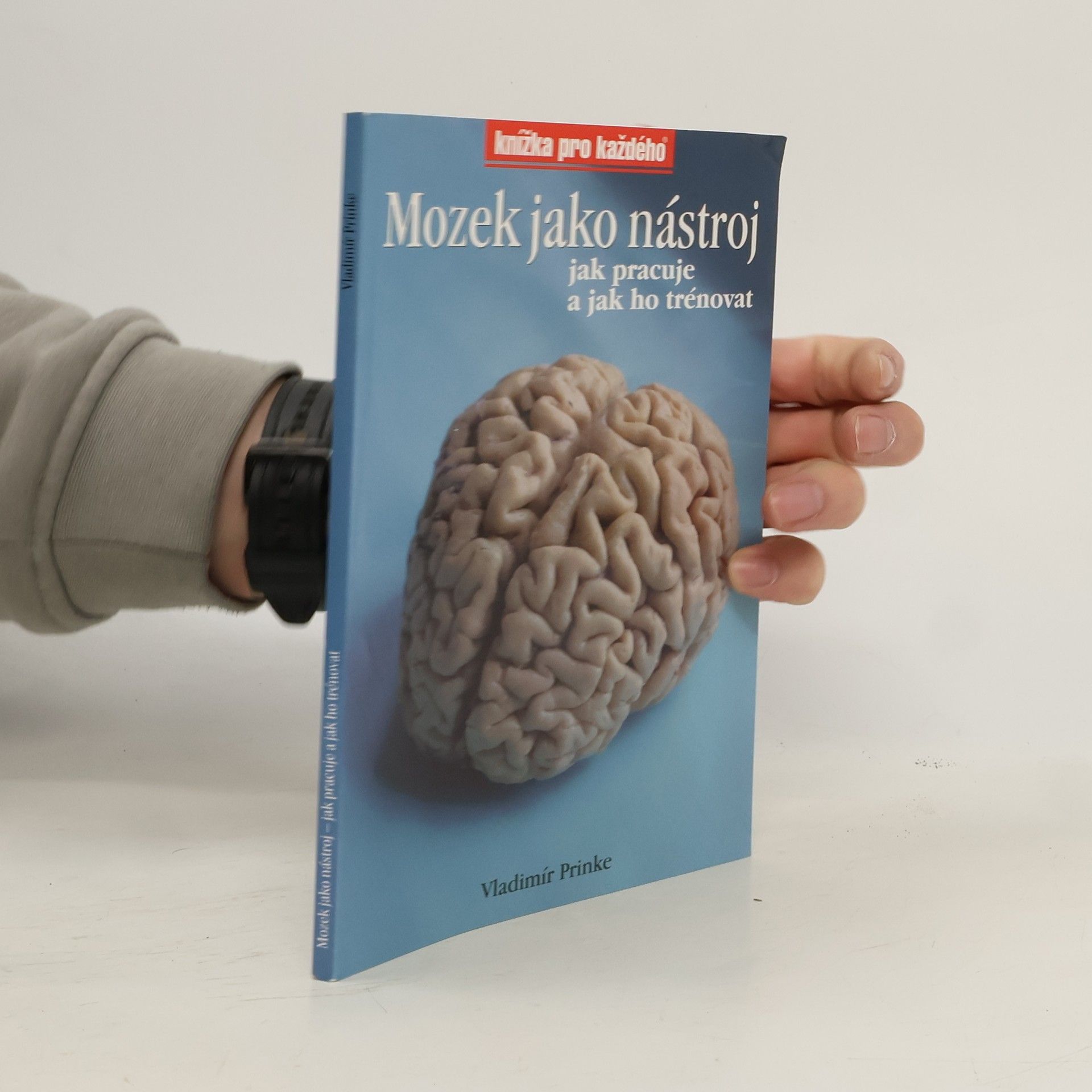 Mozek jako nástroj, jak pracuje a jak ho trénovat