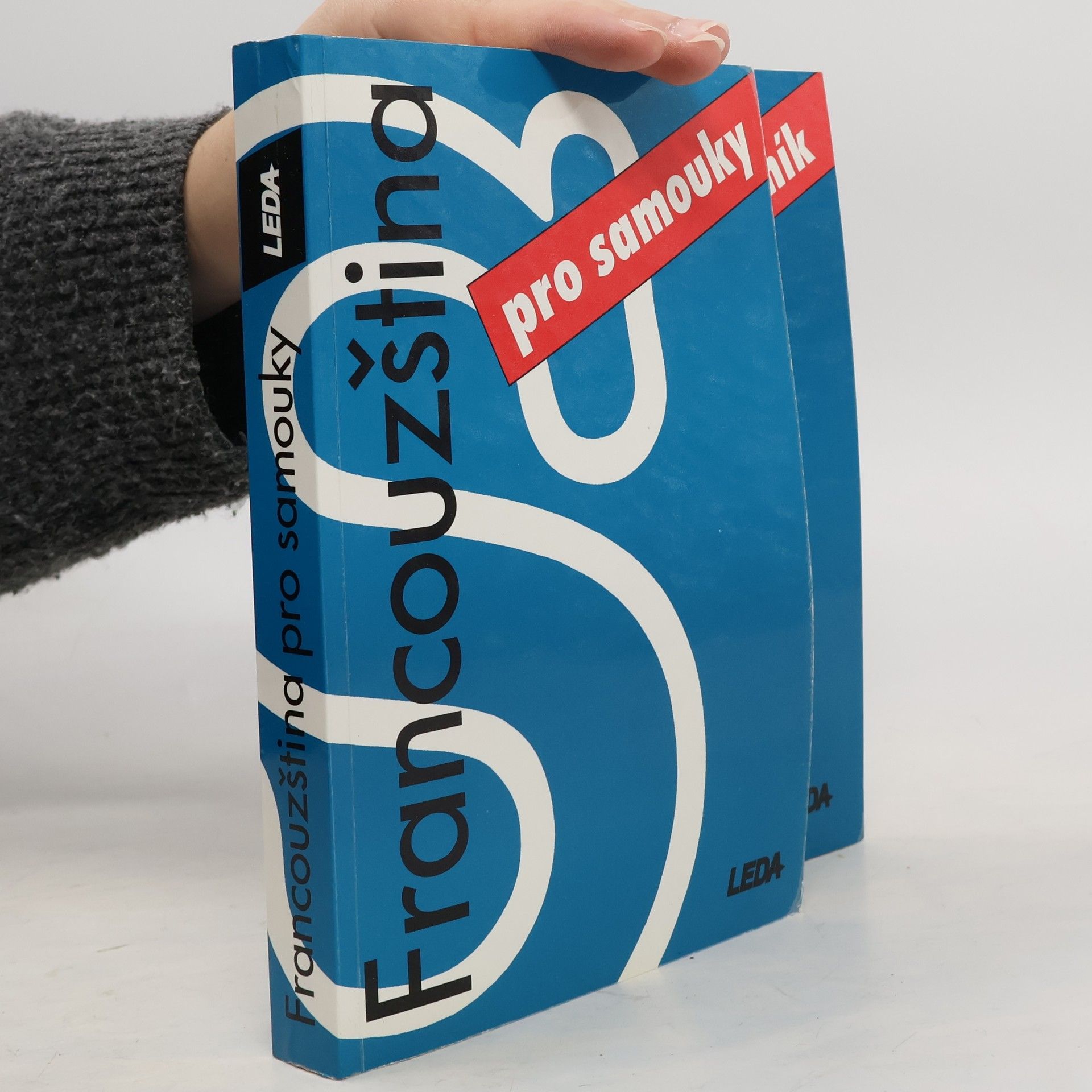 Francouzština pro samouky. Učebnice + Klíč, slovník