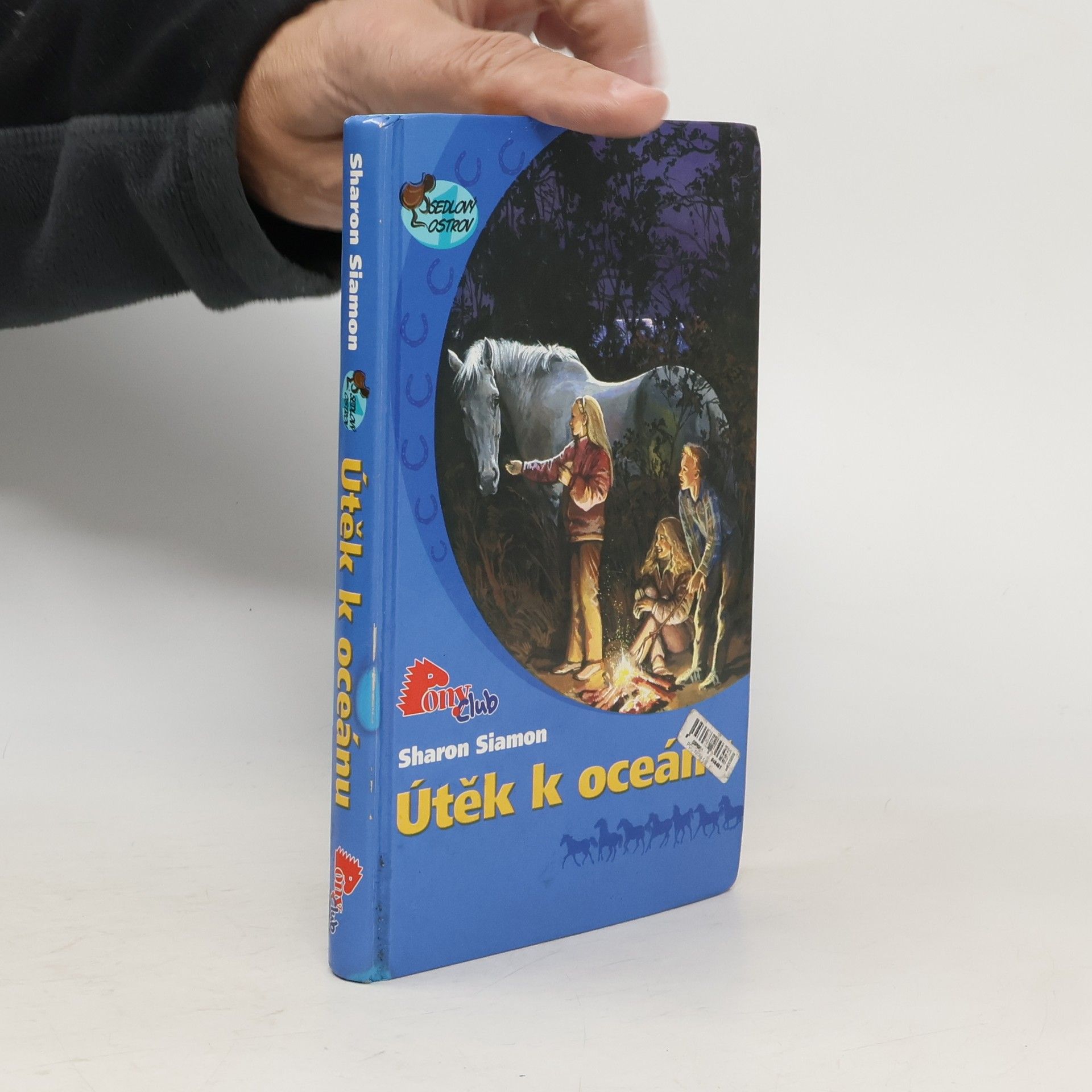 Sharon Siamon Útěk k oceánu