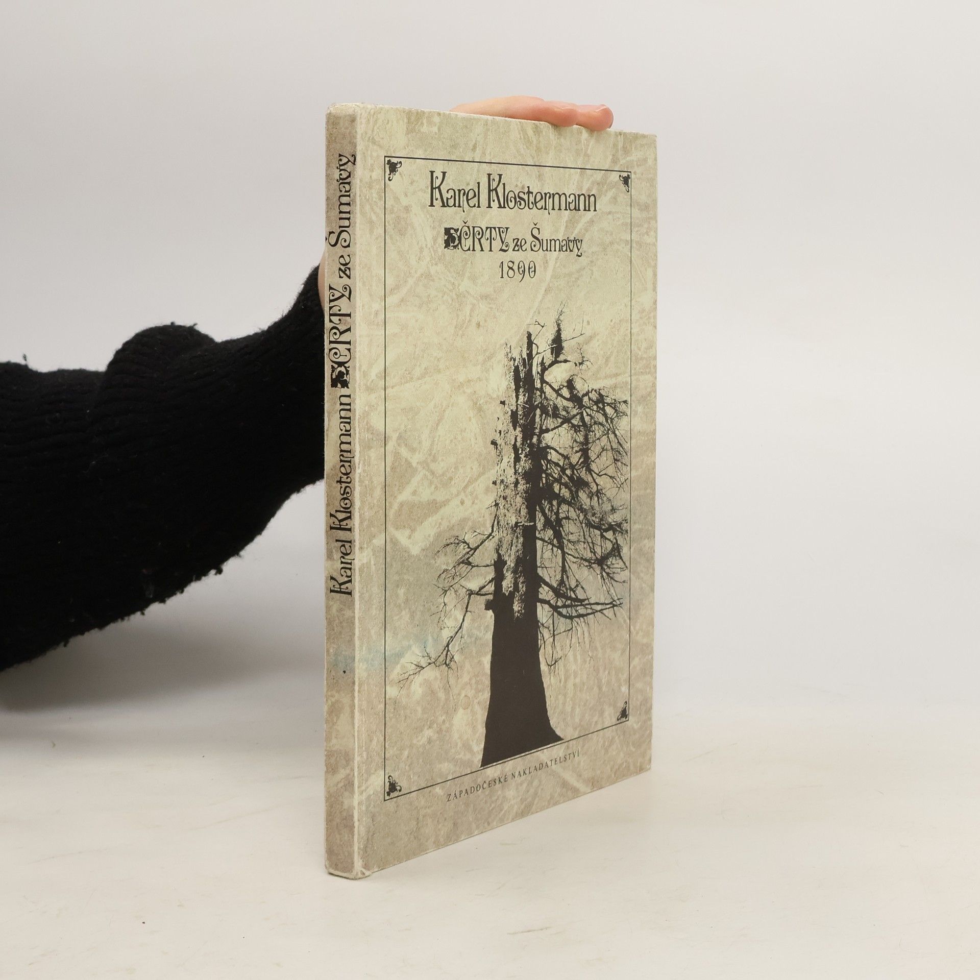 Karel Klostermann Črty ze Šumavy 1890