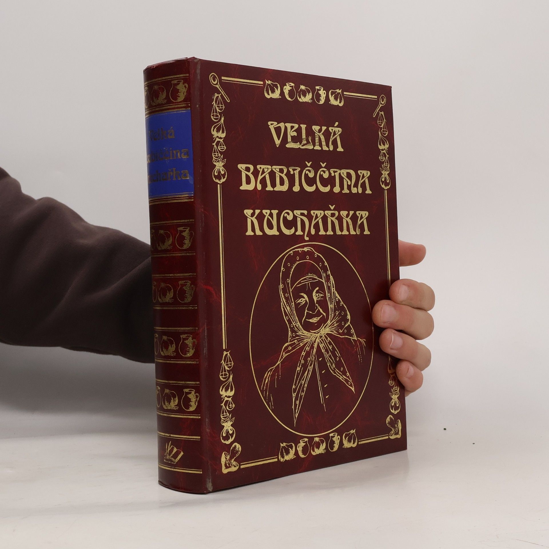 Kolektív autorov Velká babiččina kuchařka