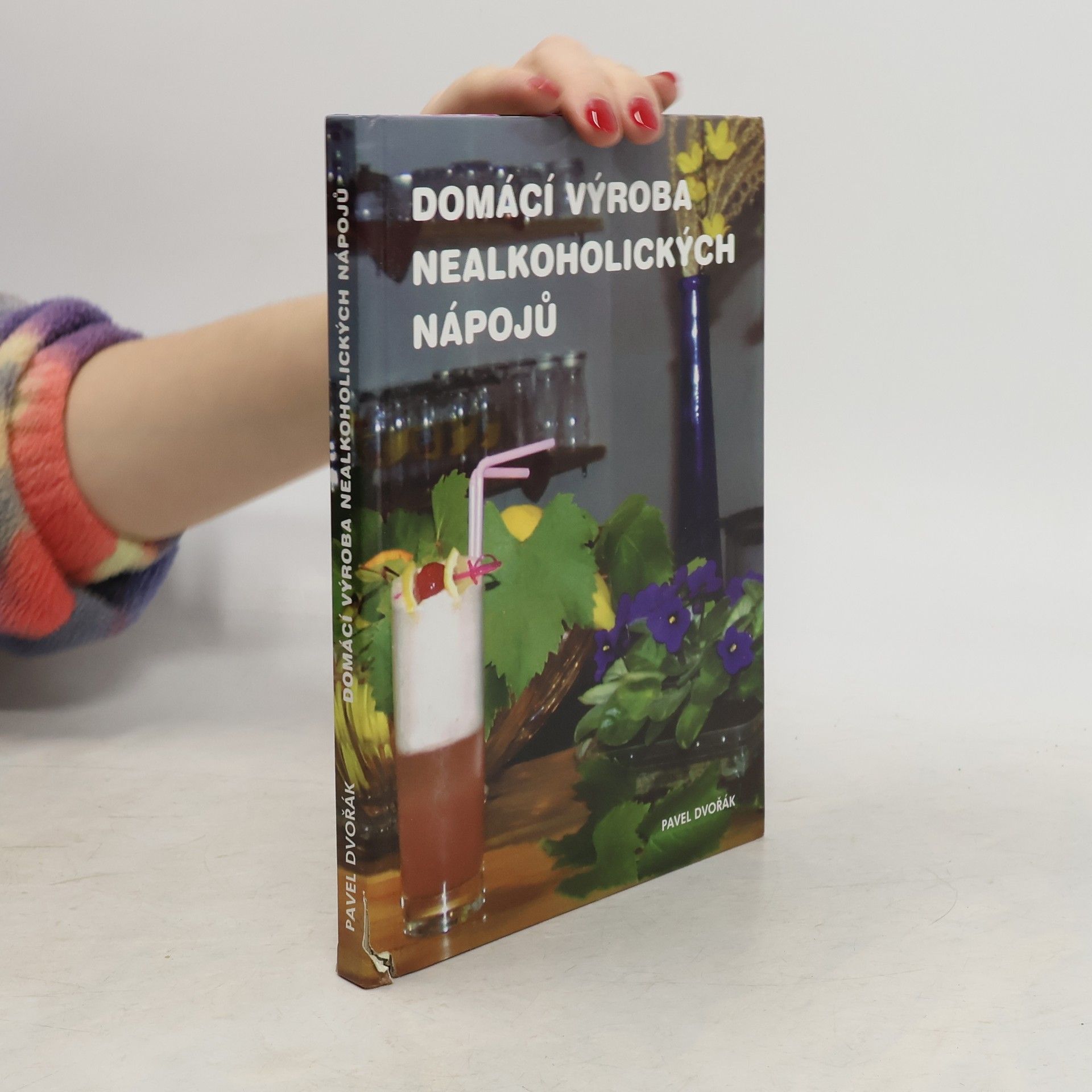 Pavel Dvořák Domácí výroba nealkoholických nápojů