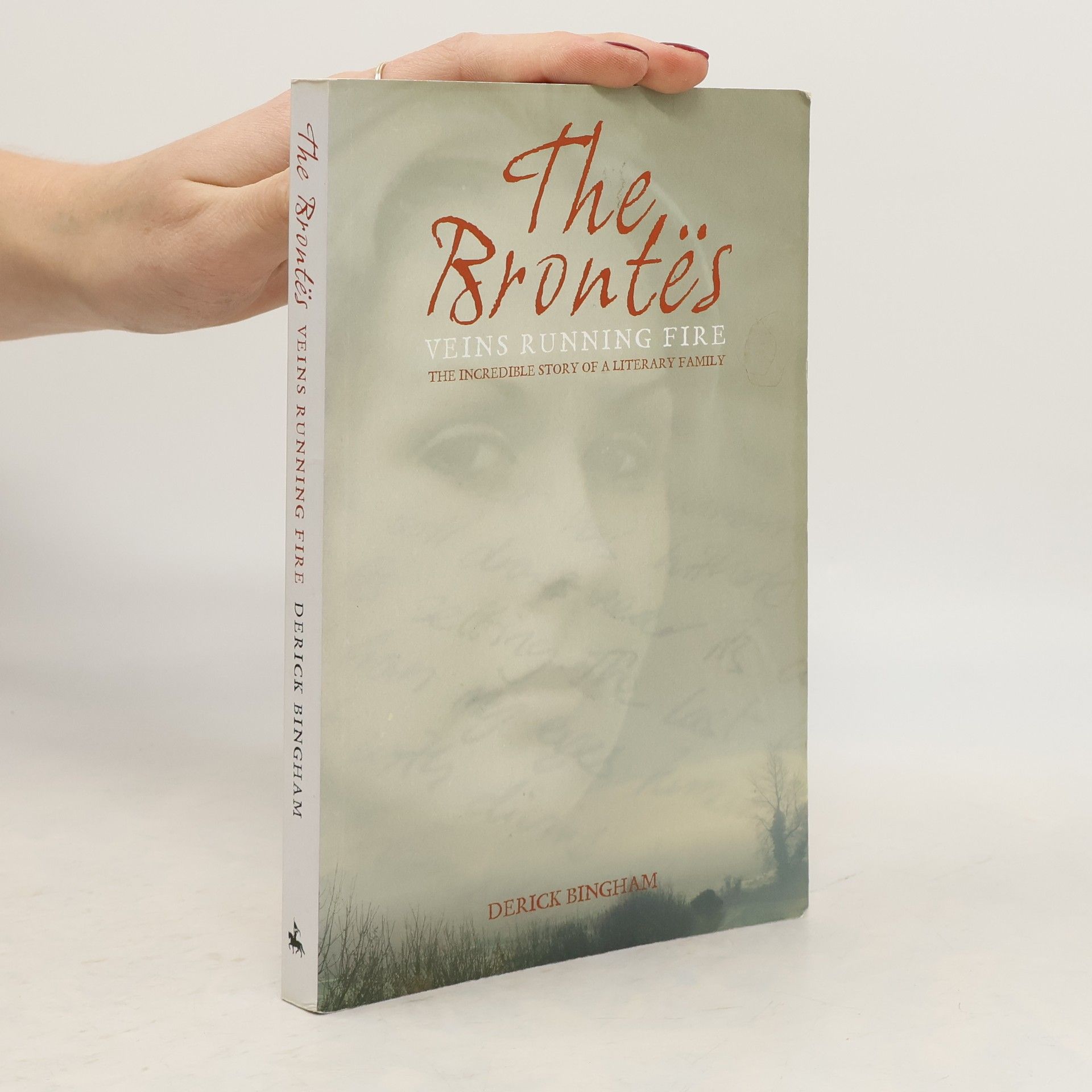 Derick Bingham The Brontës