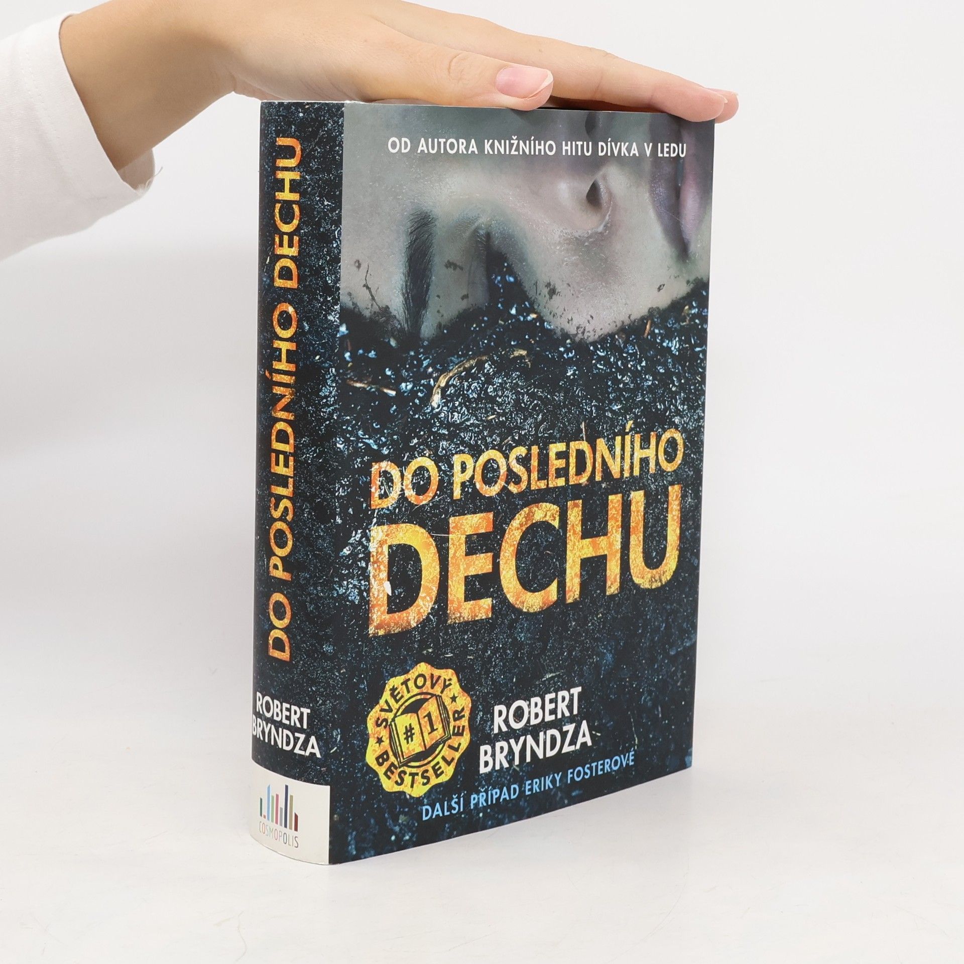 Robert Bryndza Do posledního dechu