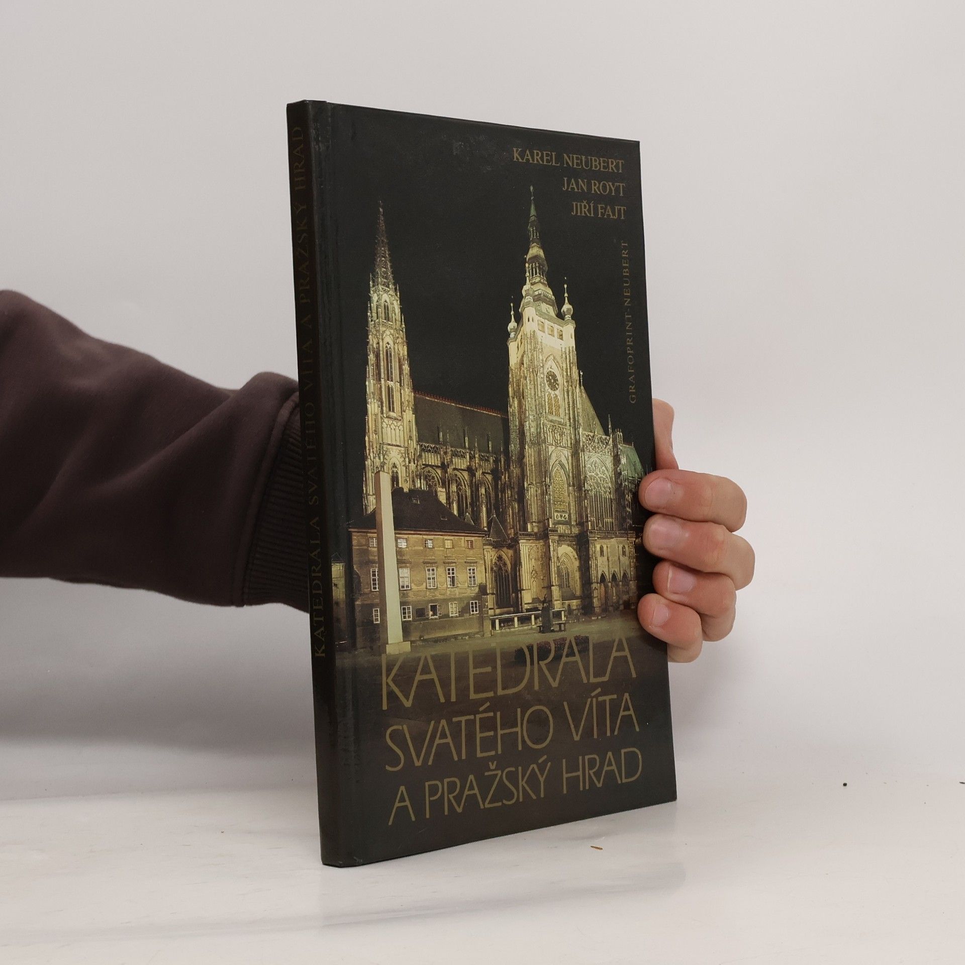 Jan Royt Katedrála svatého Víta a Pražský hrad