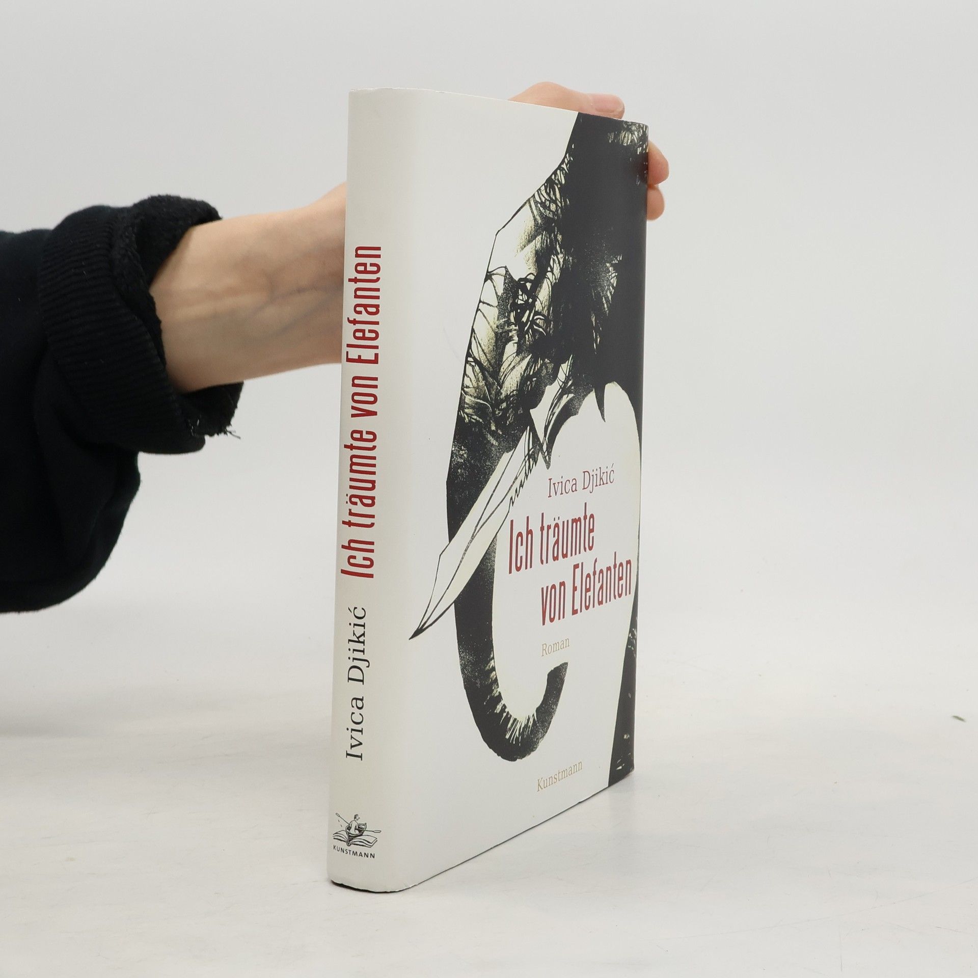 Ivica Đikić Ich träumte von Elefanten