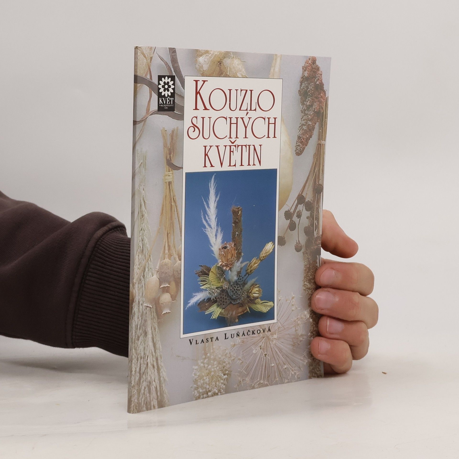 Vlasta Luňáčková Kouzlo suchých květin