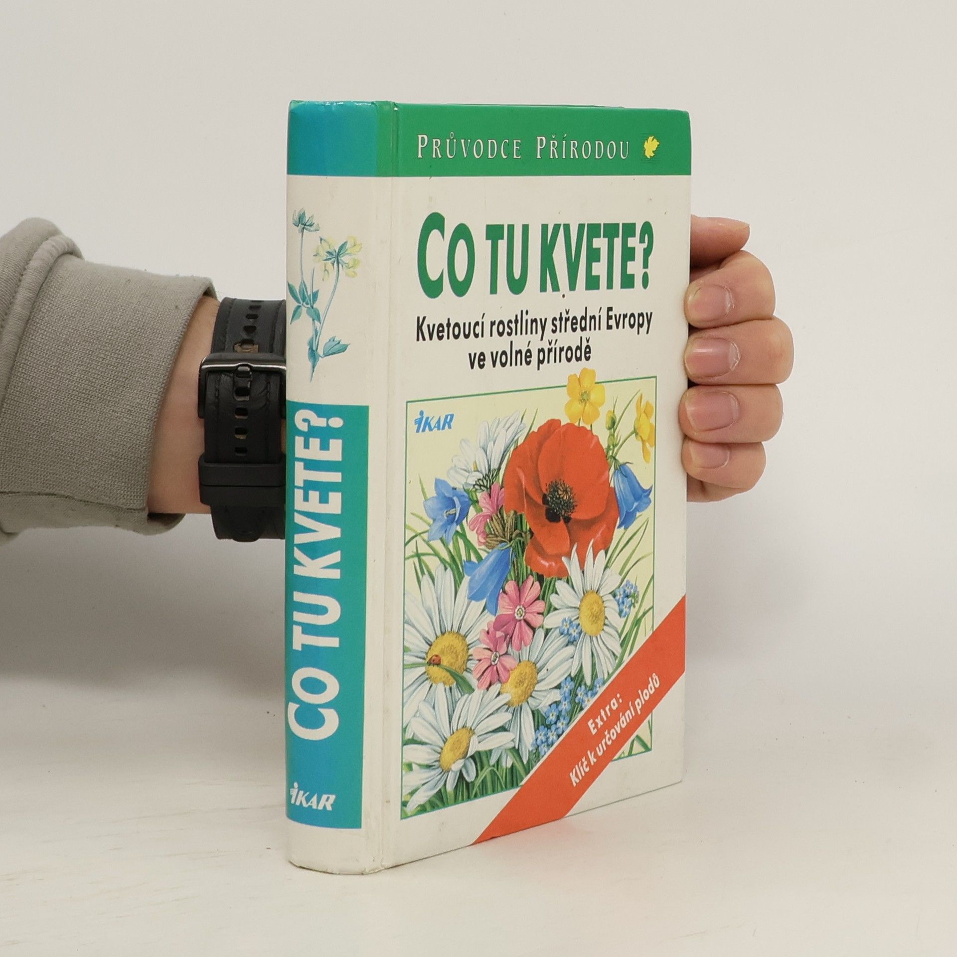 Dietmar Ernst Aichele Co tu kvete?