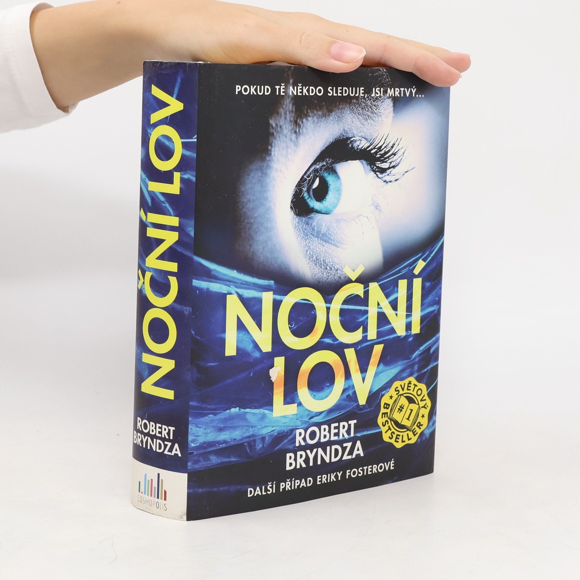 Robert Bryndza Noční lov