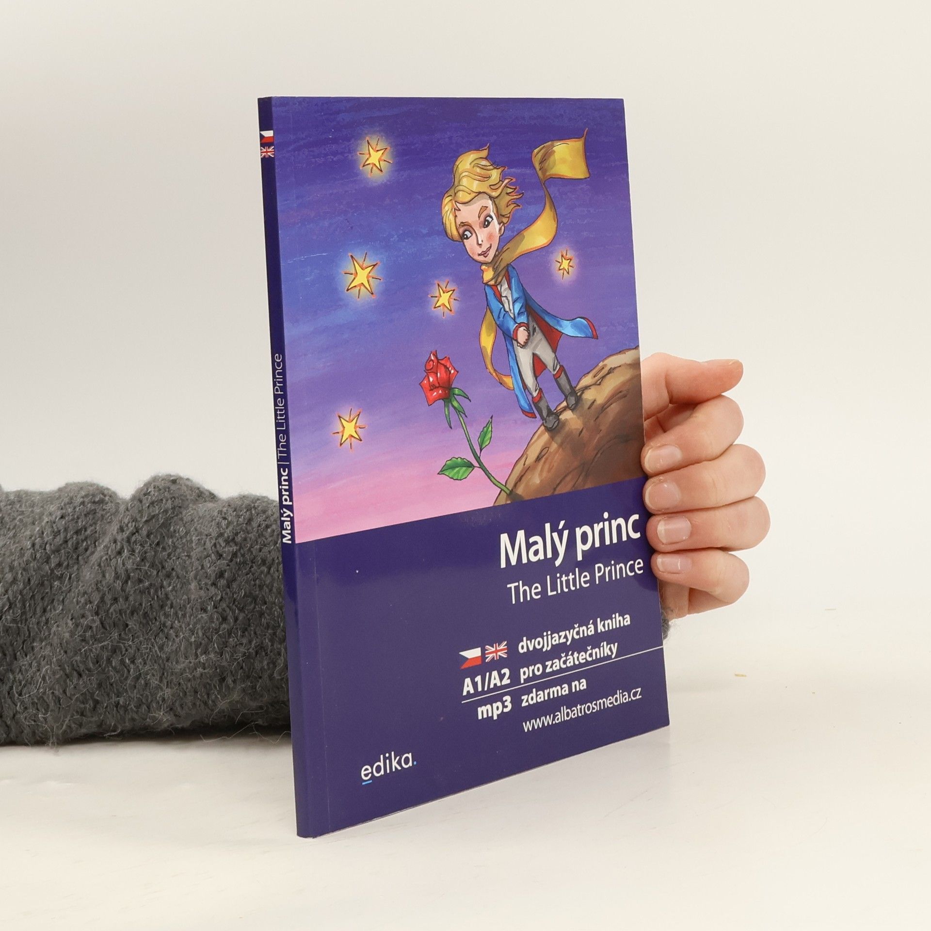 Dana Olšovská Malý princ / The Little Prince