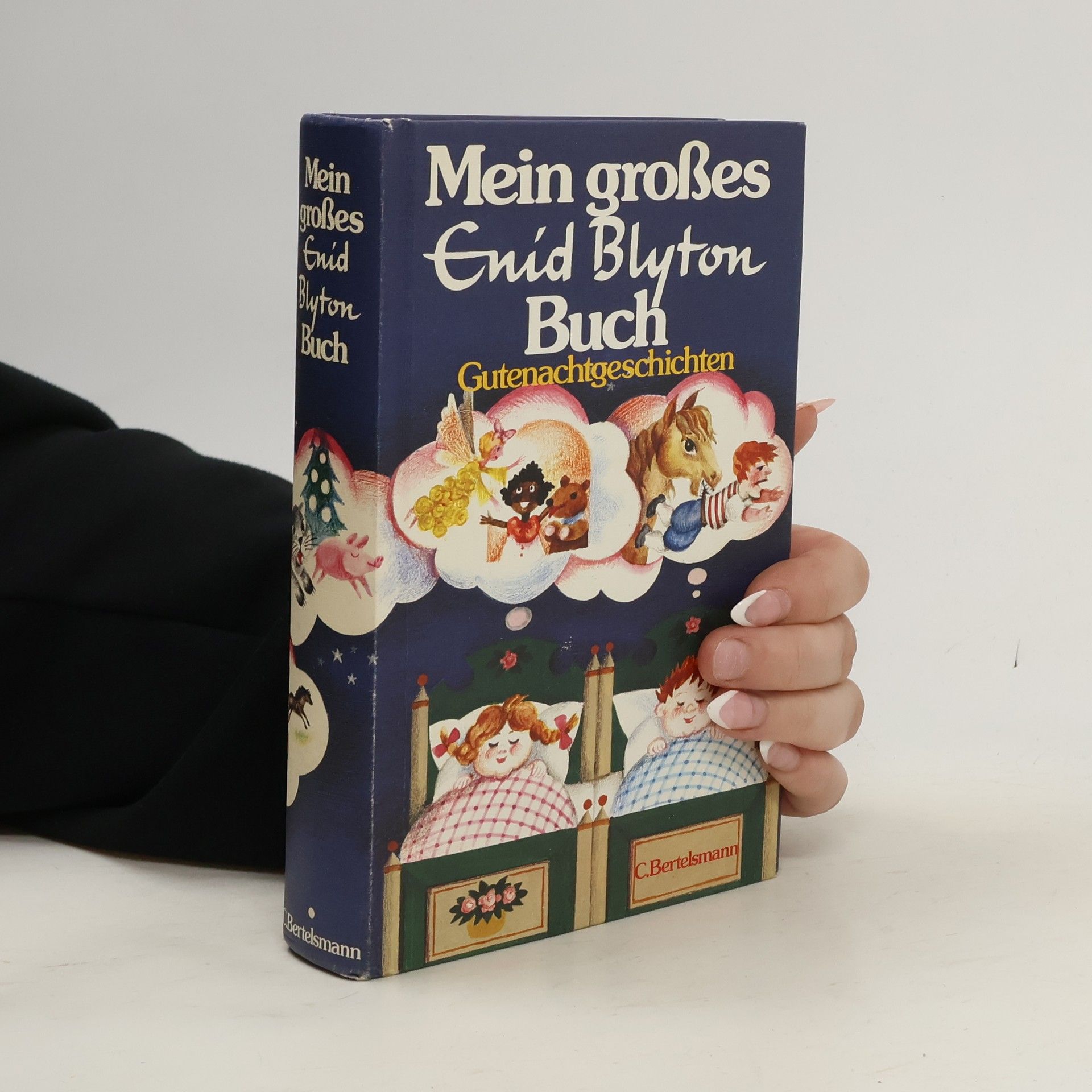 Enid Blyton Mein großes Buch. Gutenachtgeschichten