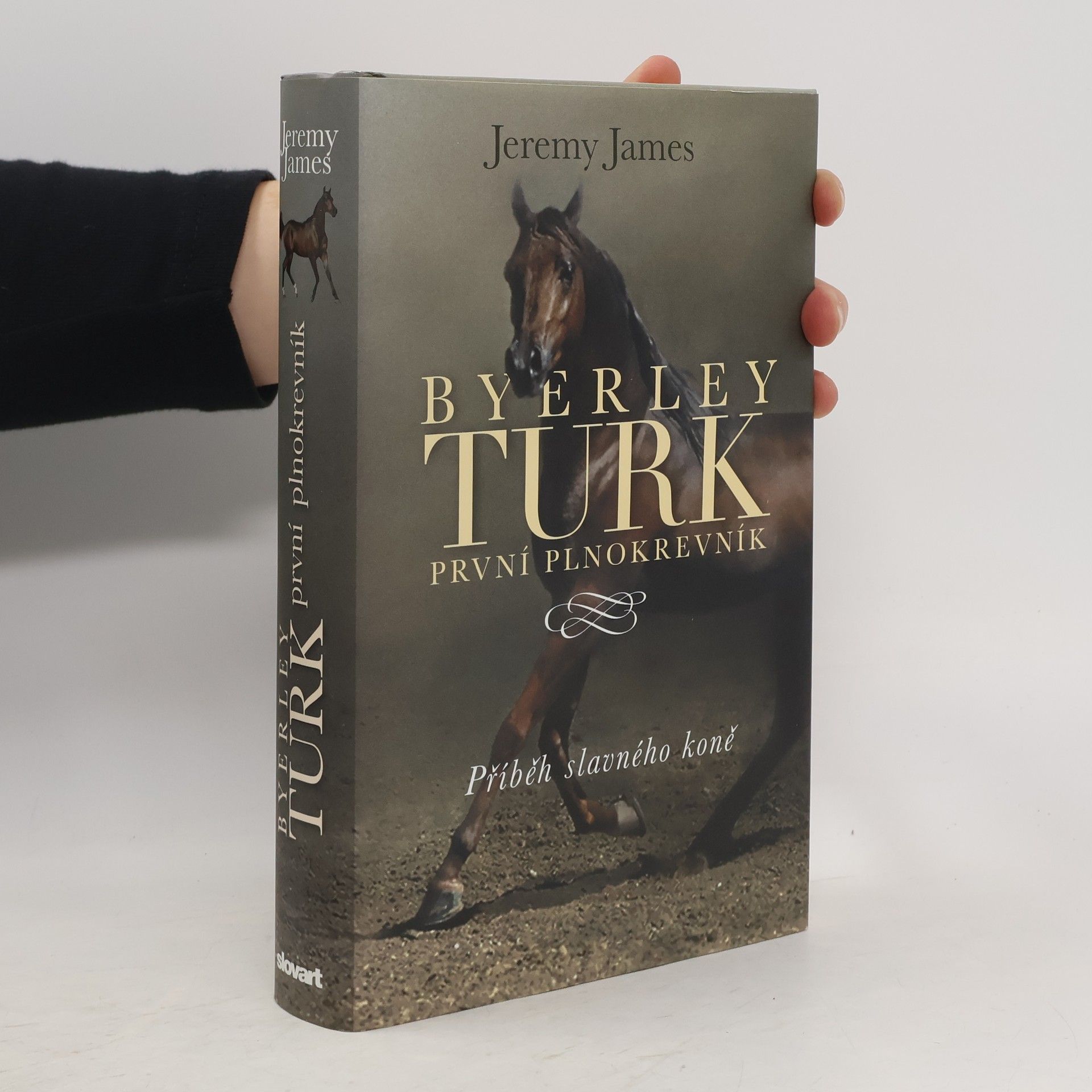 Byerley Turk. První plnokrevník