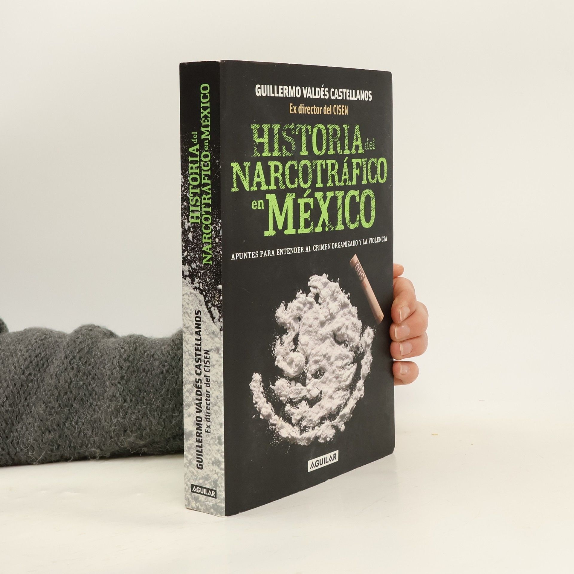 Guillermo Valdés Castellanos Historia del narcotráfico en México