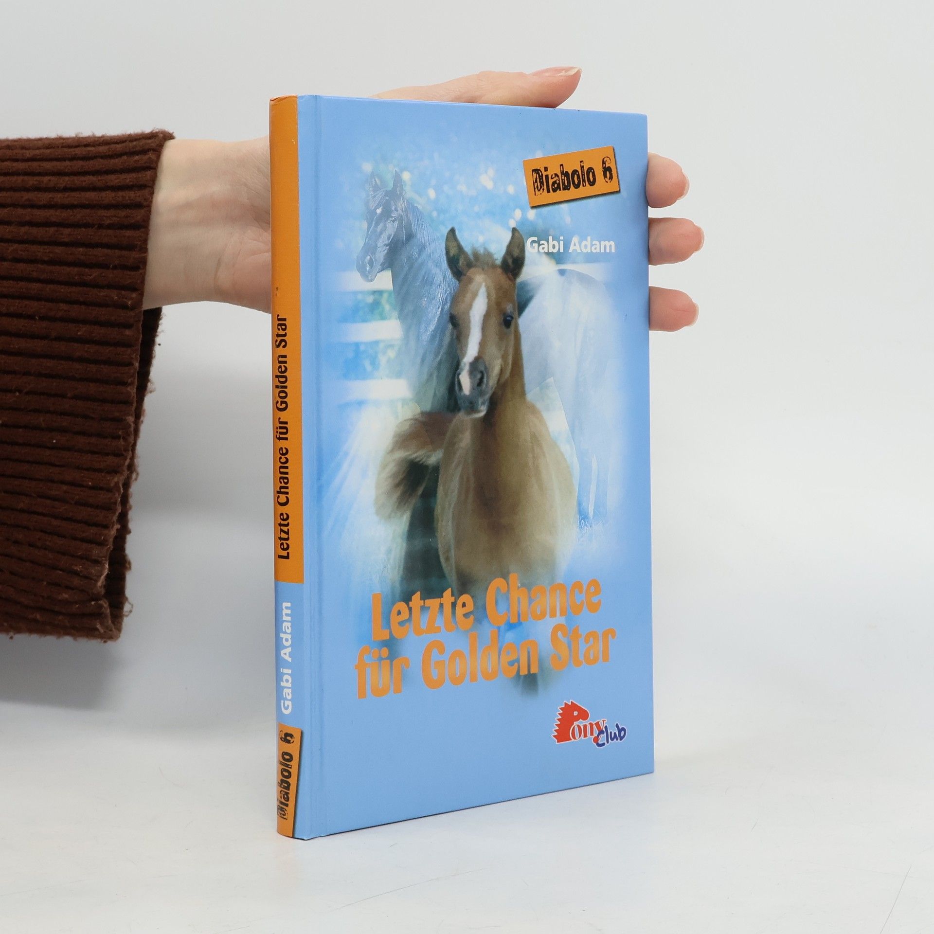 Gabi Adam Diabolo 6. Letzte Chance für Golden Star