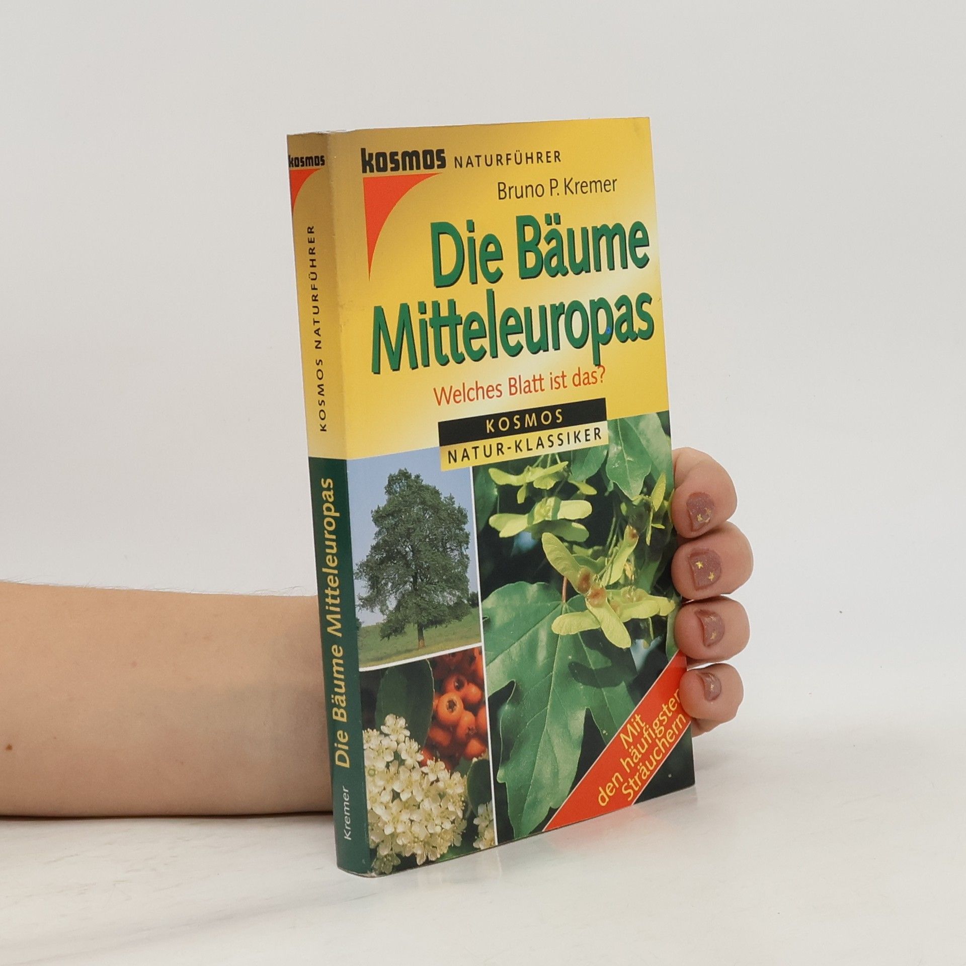 Bruno P. Kremer Die Bäume Mitteleuropas