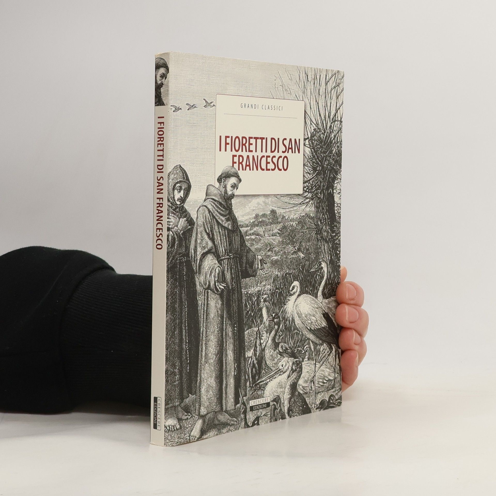 Kolektiv autorů I fioretti di San Francesco.